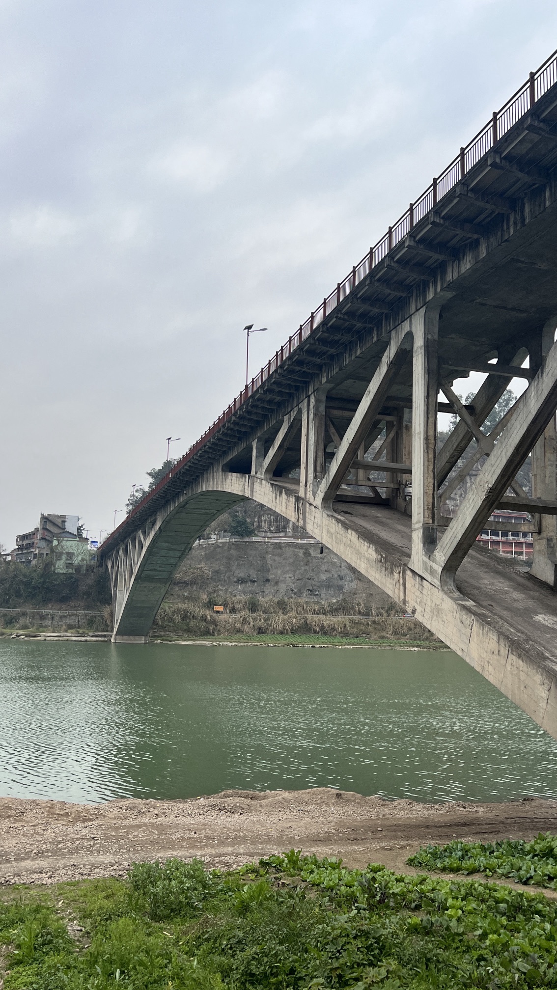 牛佛古镇旅行图片 2