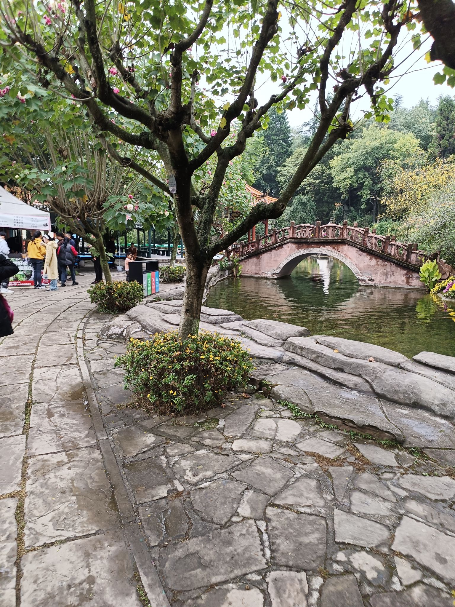 梓州公园旅行图片 2