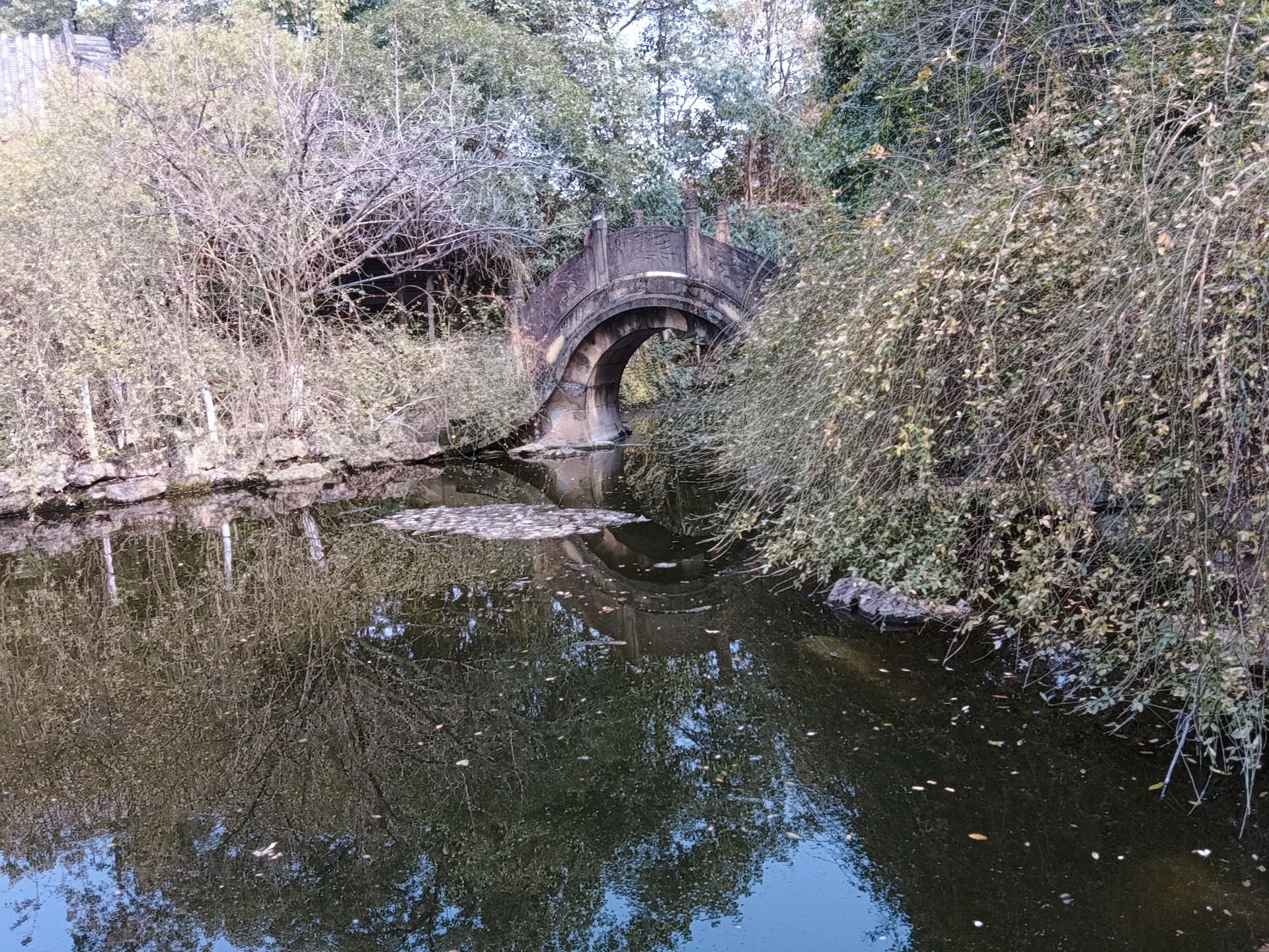 梓州公园旅行图片 3