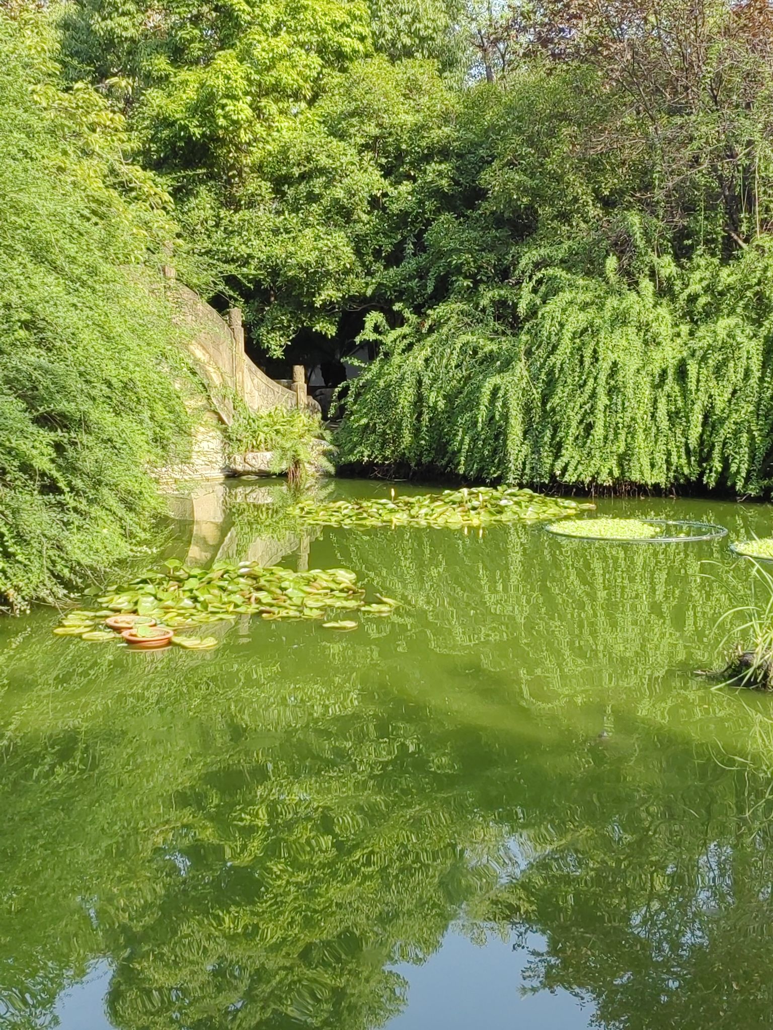 梓州公园旅行图片 1
