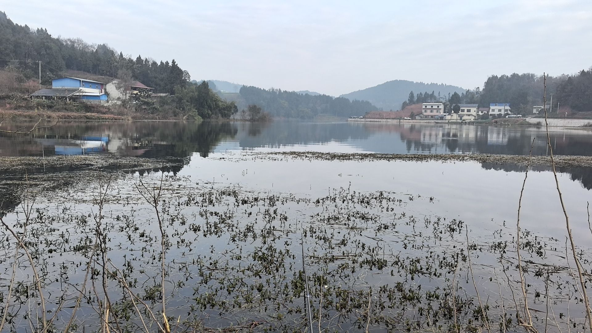 莲花湖旅行图片 1