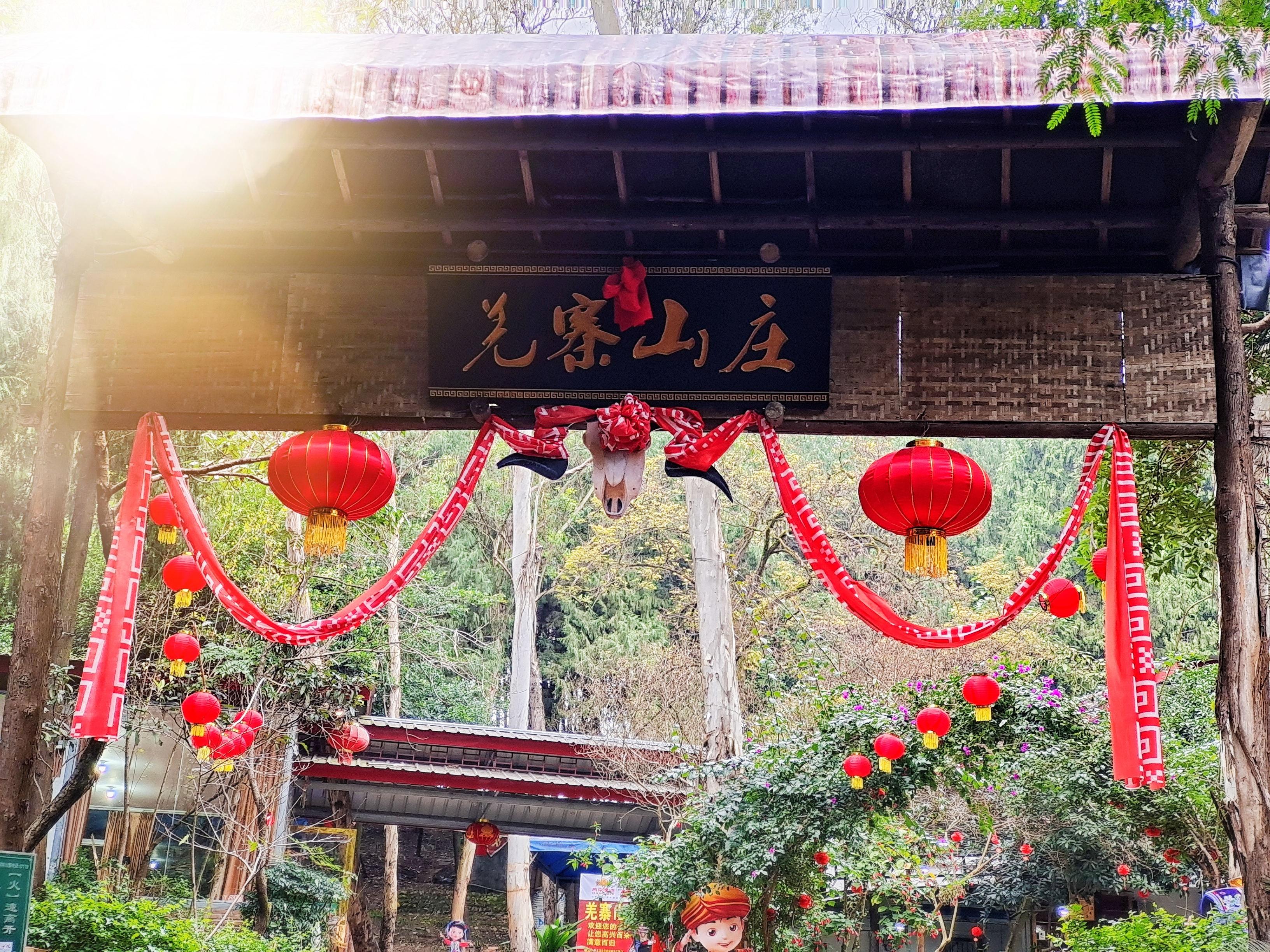 凤凰山森林公园旅行图片 1