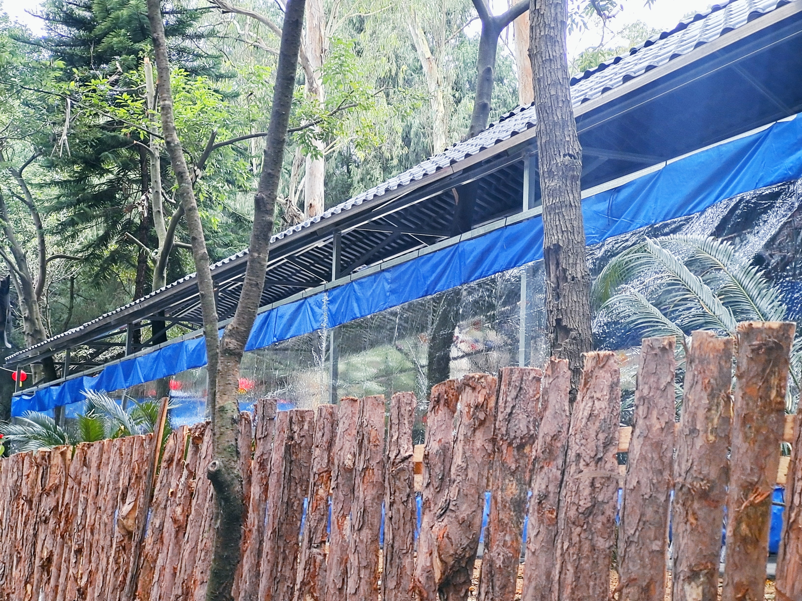 凤凰山森林公园旅行图片 2