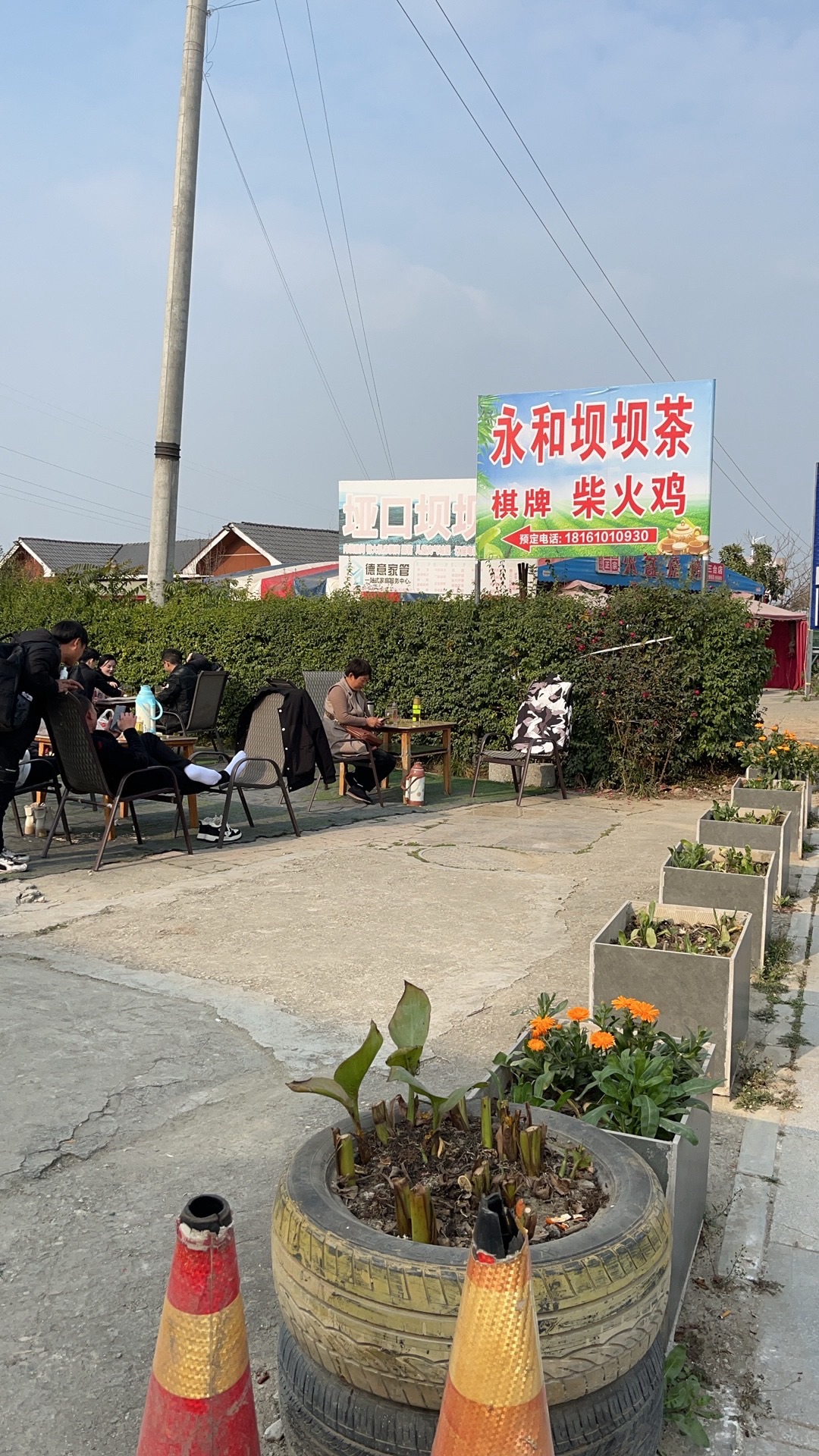 凤凰山森林公园旅行图片 3
