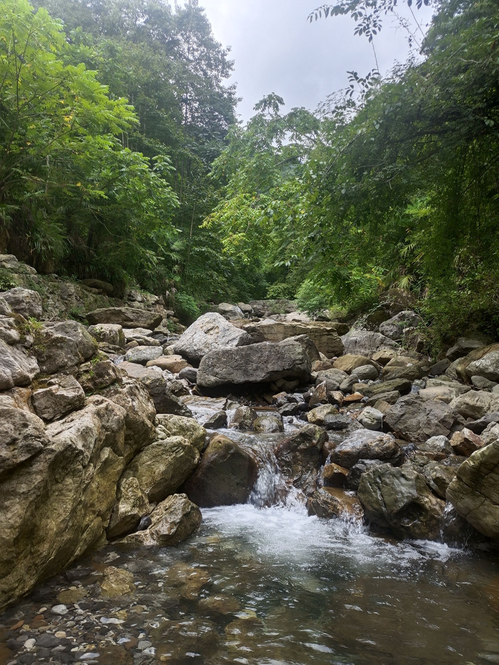 藏王寨老君山旅行图片 2