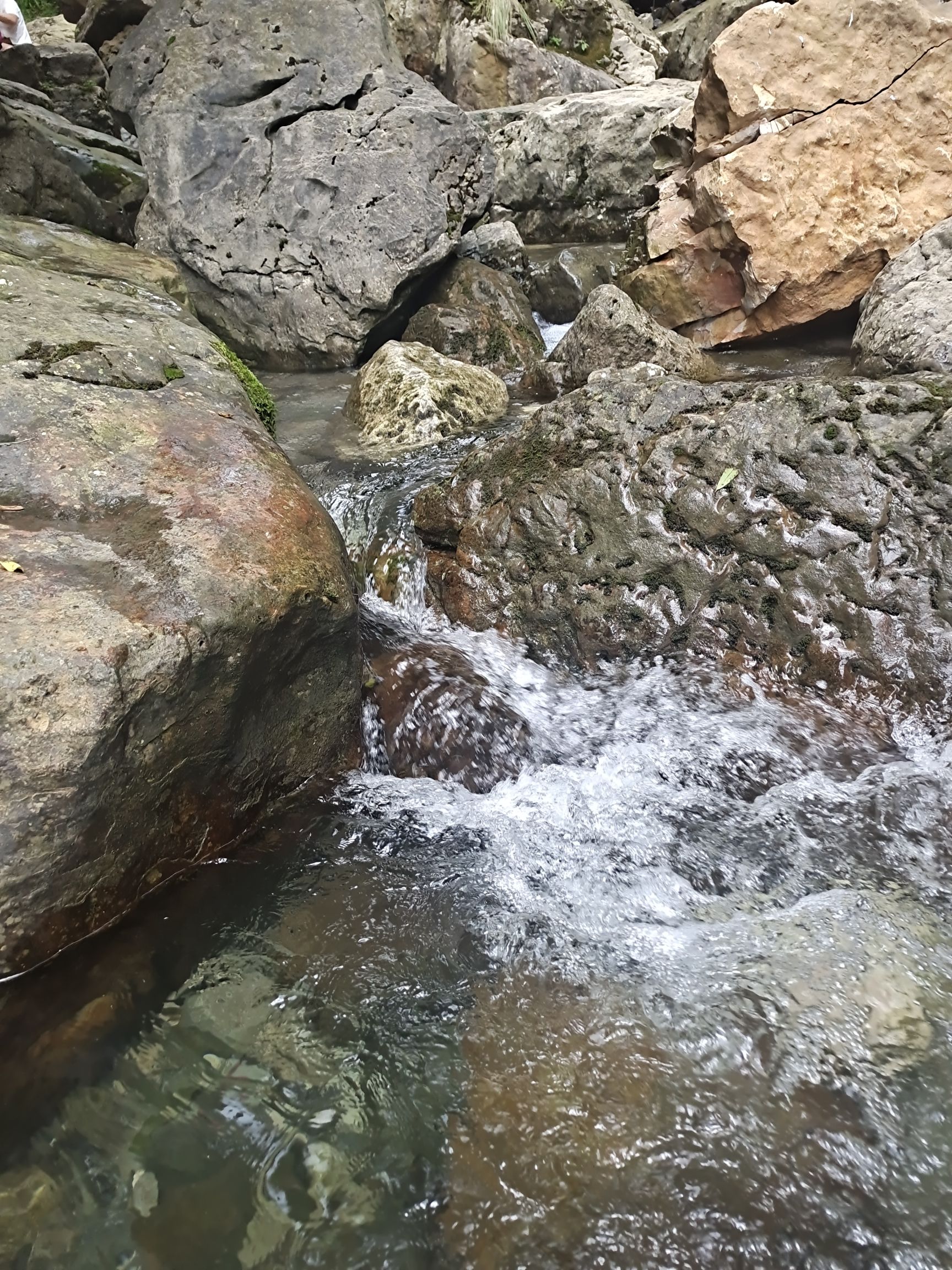 藏王寨老君山旅行图片 3