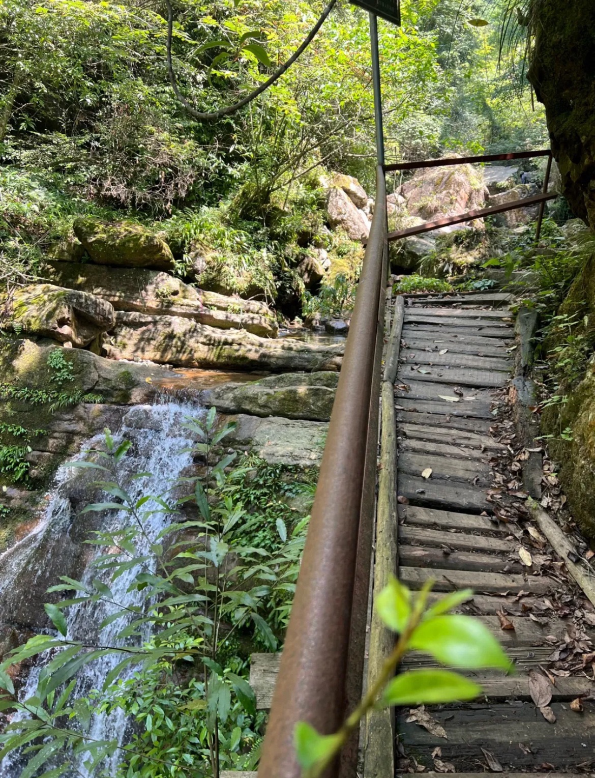 藏王寨老君山旅行图片 2