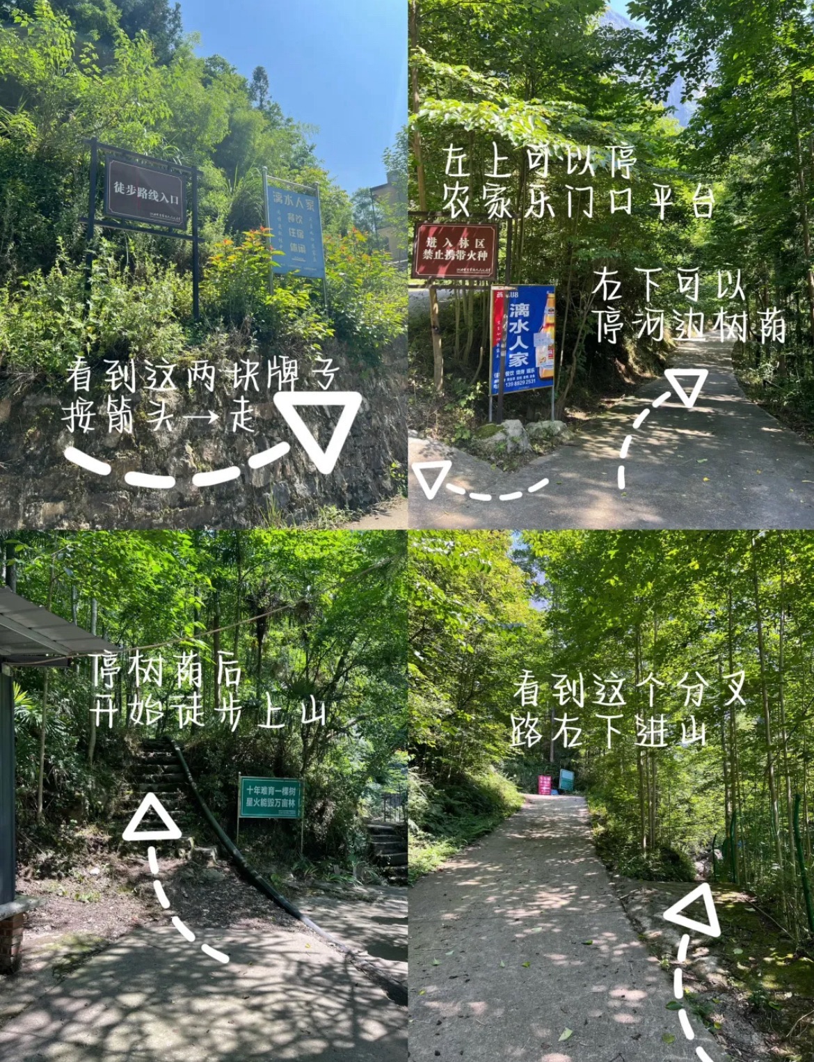 藏王寨老君山旅行图片 1