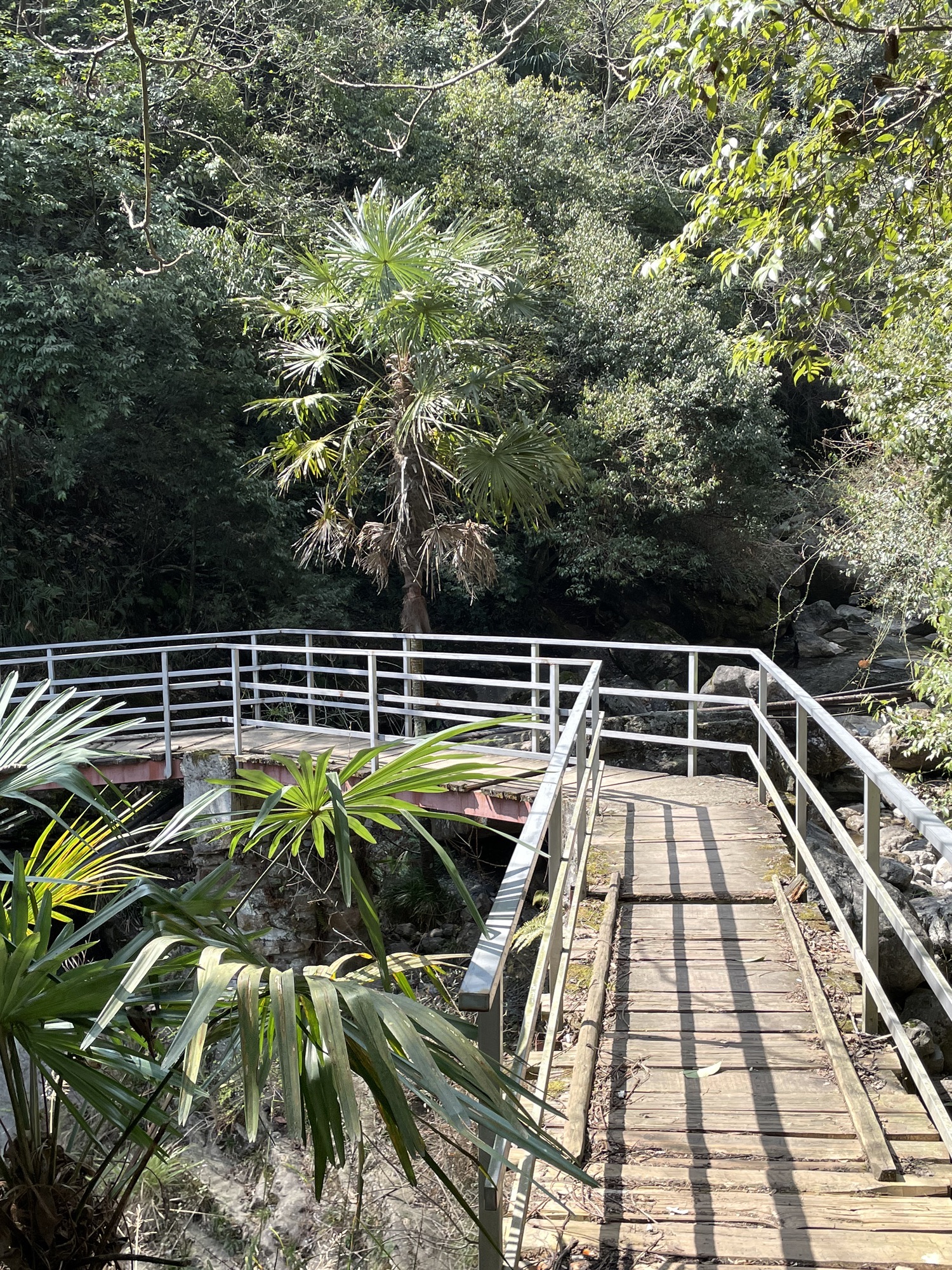 藏王寨老君山旅行图片 2