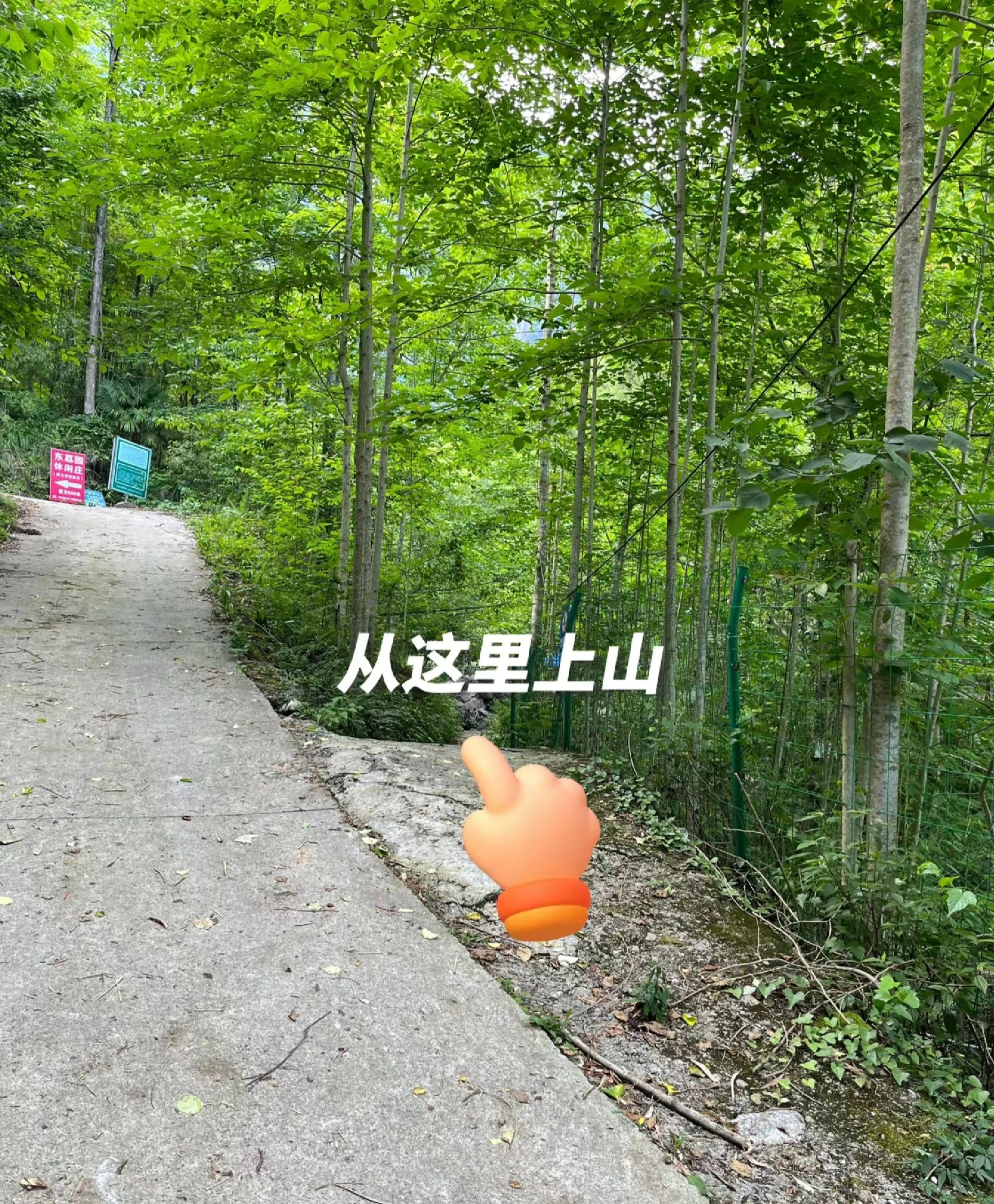 藏王寨老君山旅行图片 3