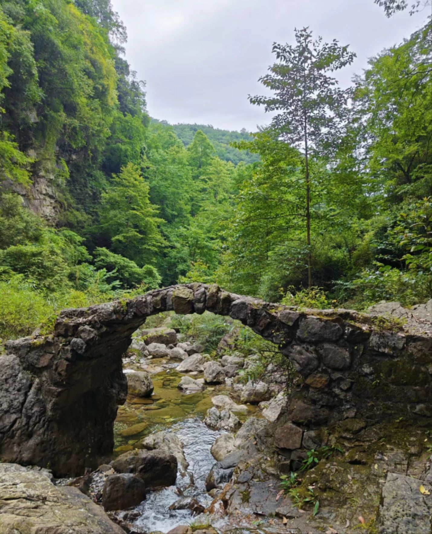 藏王寨老君山旅行图片 2