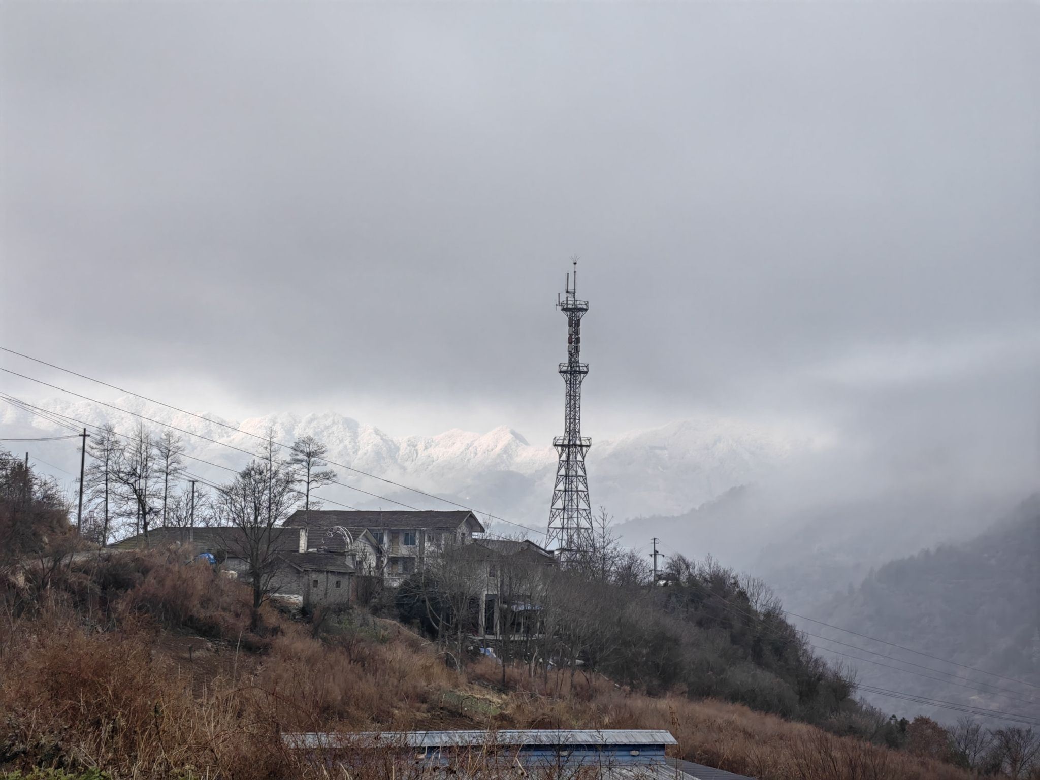 龙池坪森林公园旅行图片 3