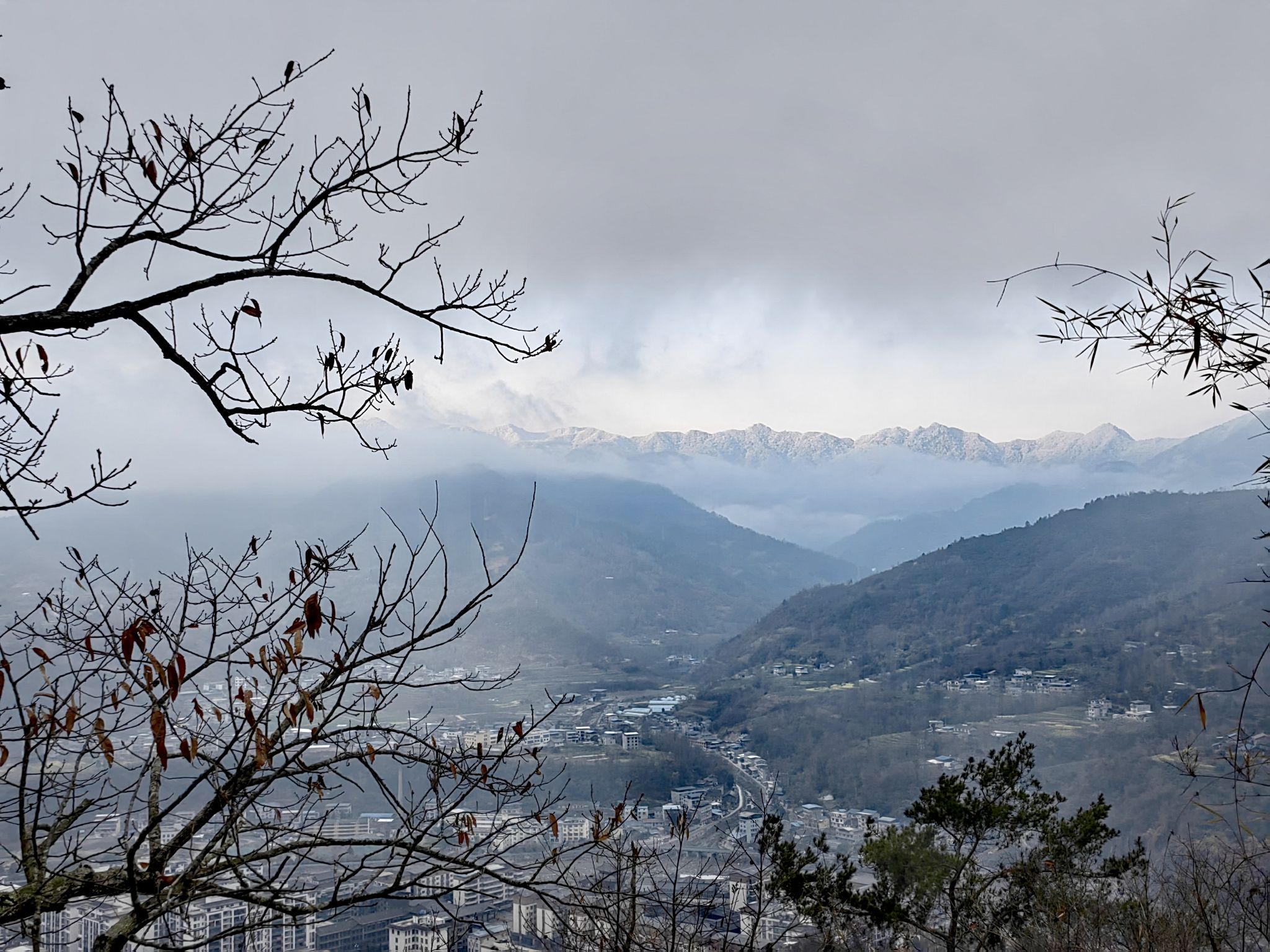 龙池坪森林公园旅行图片 2