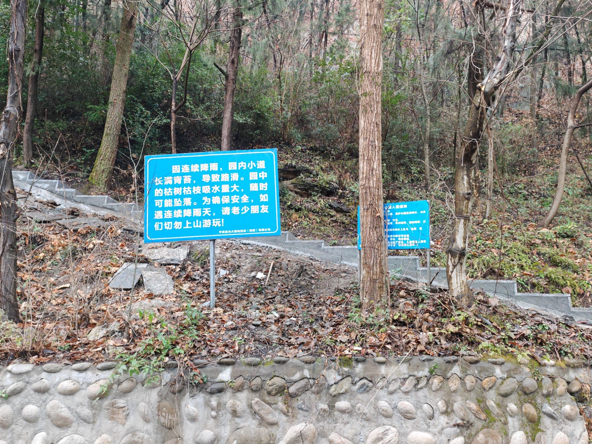 龙池坪森林公园旅行图片 1