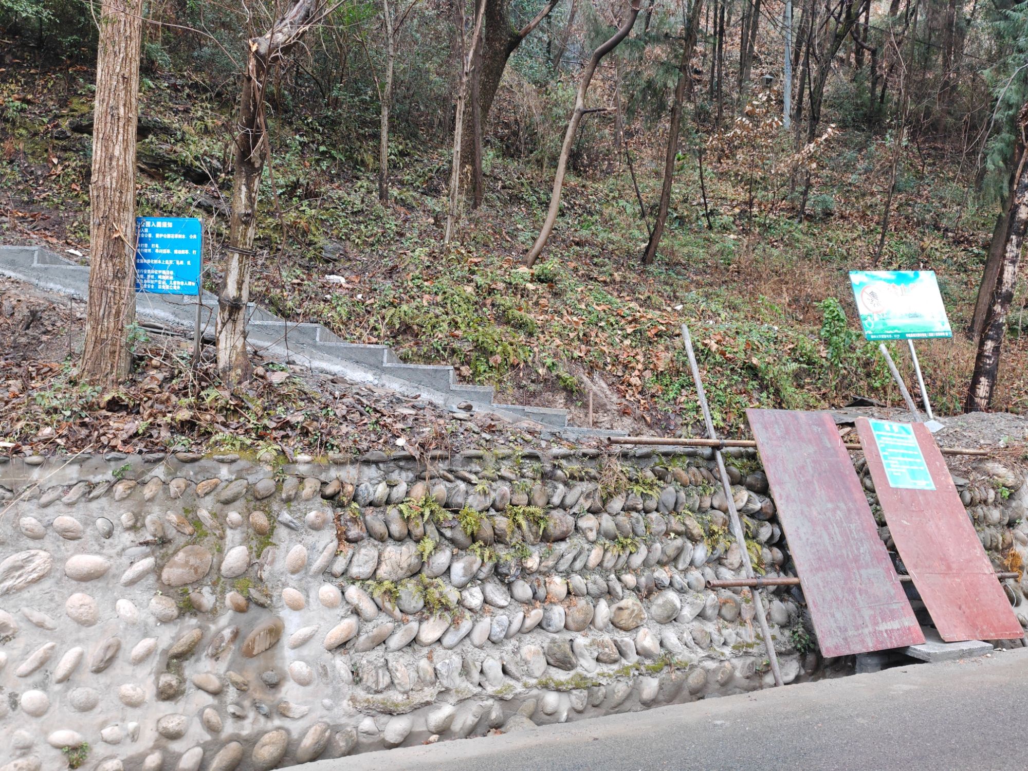 龙池坪森林公园旅行图片 2