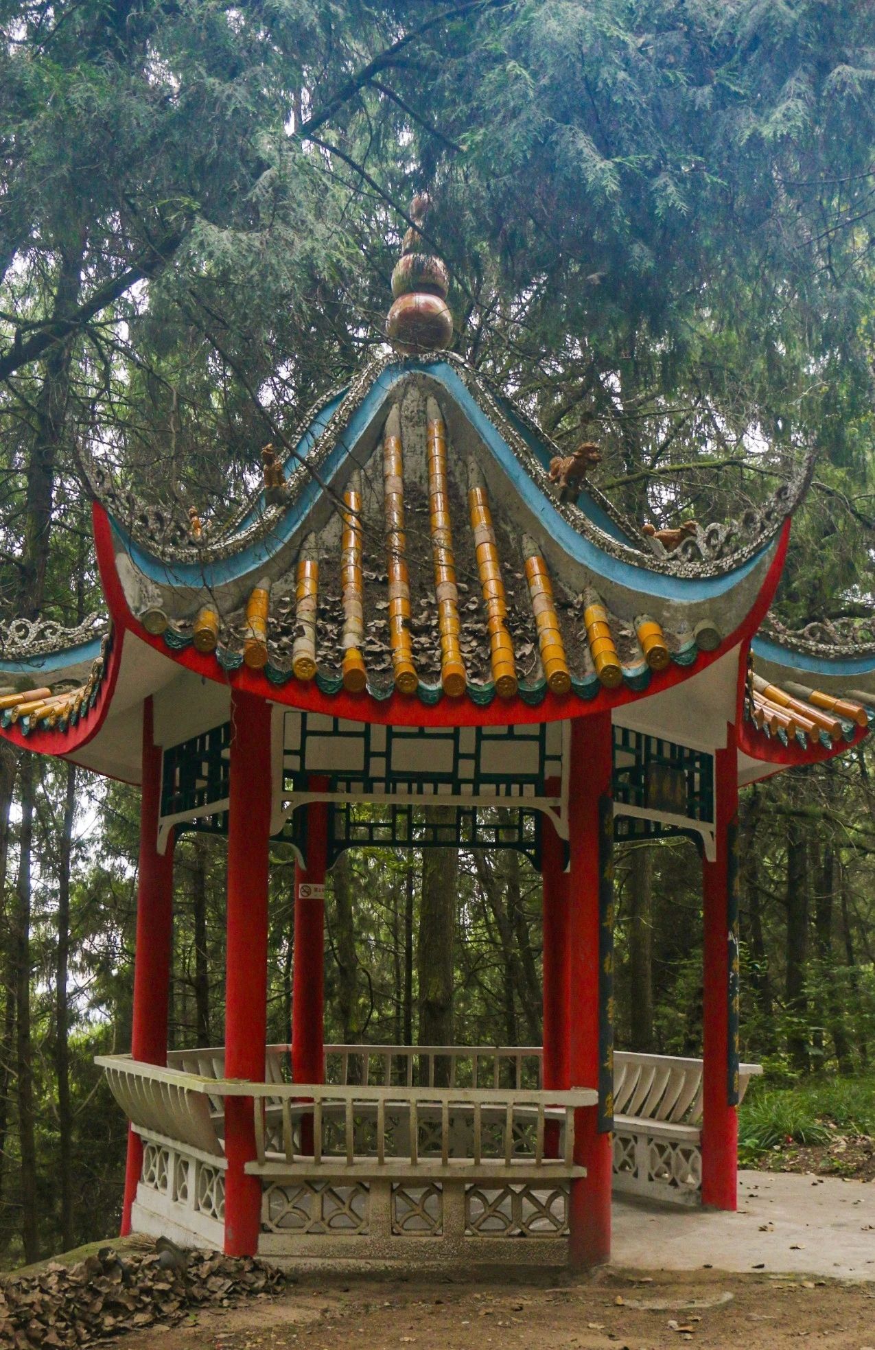 高山森林公园旅行图片 3
