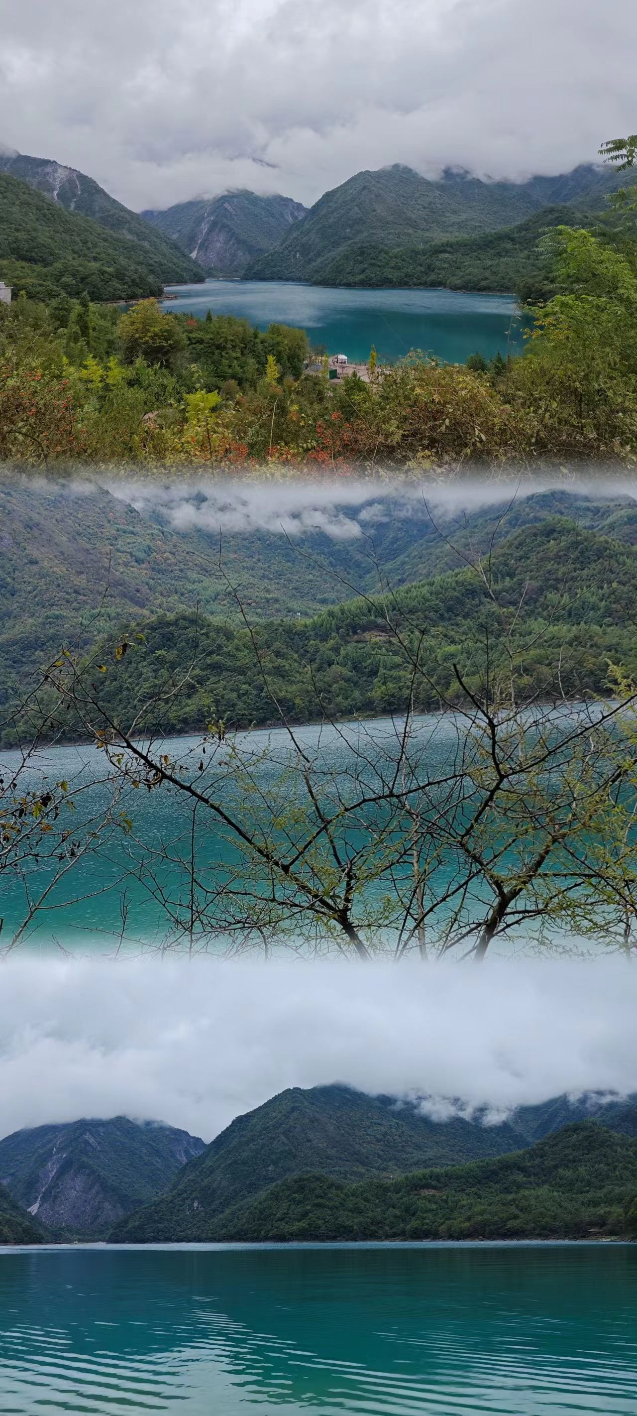 高山森林公园旅行图片 1