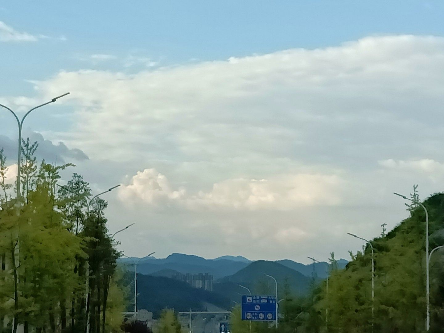 高山森林公园旅行图片 2