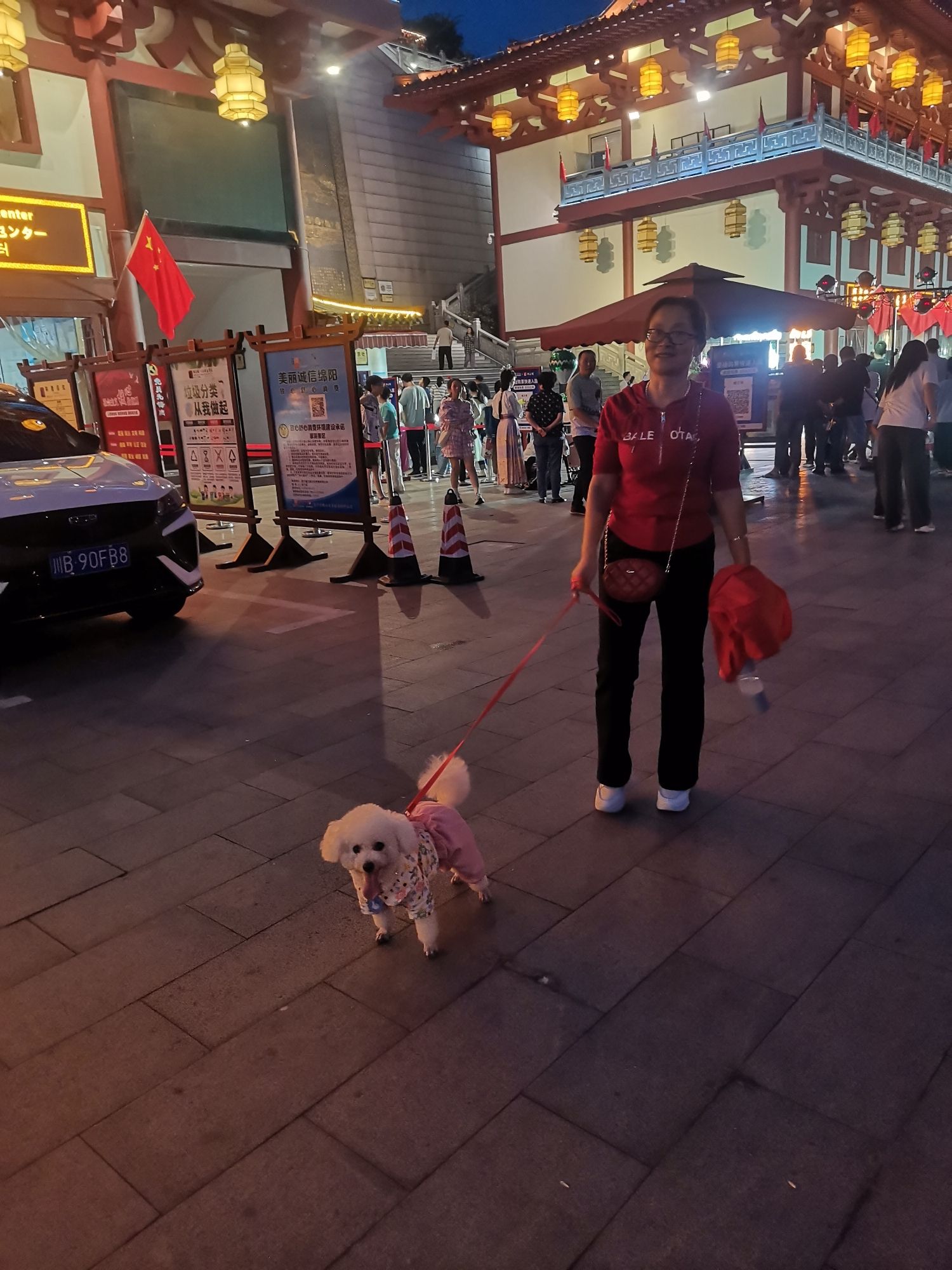 南湖体育公园旅行图片 1