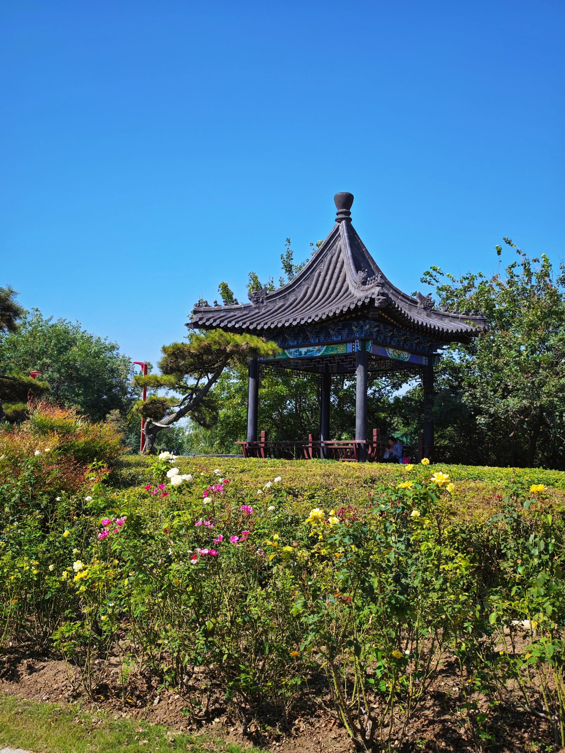 南湖体育公园旅行图片 1