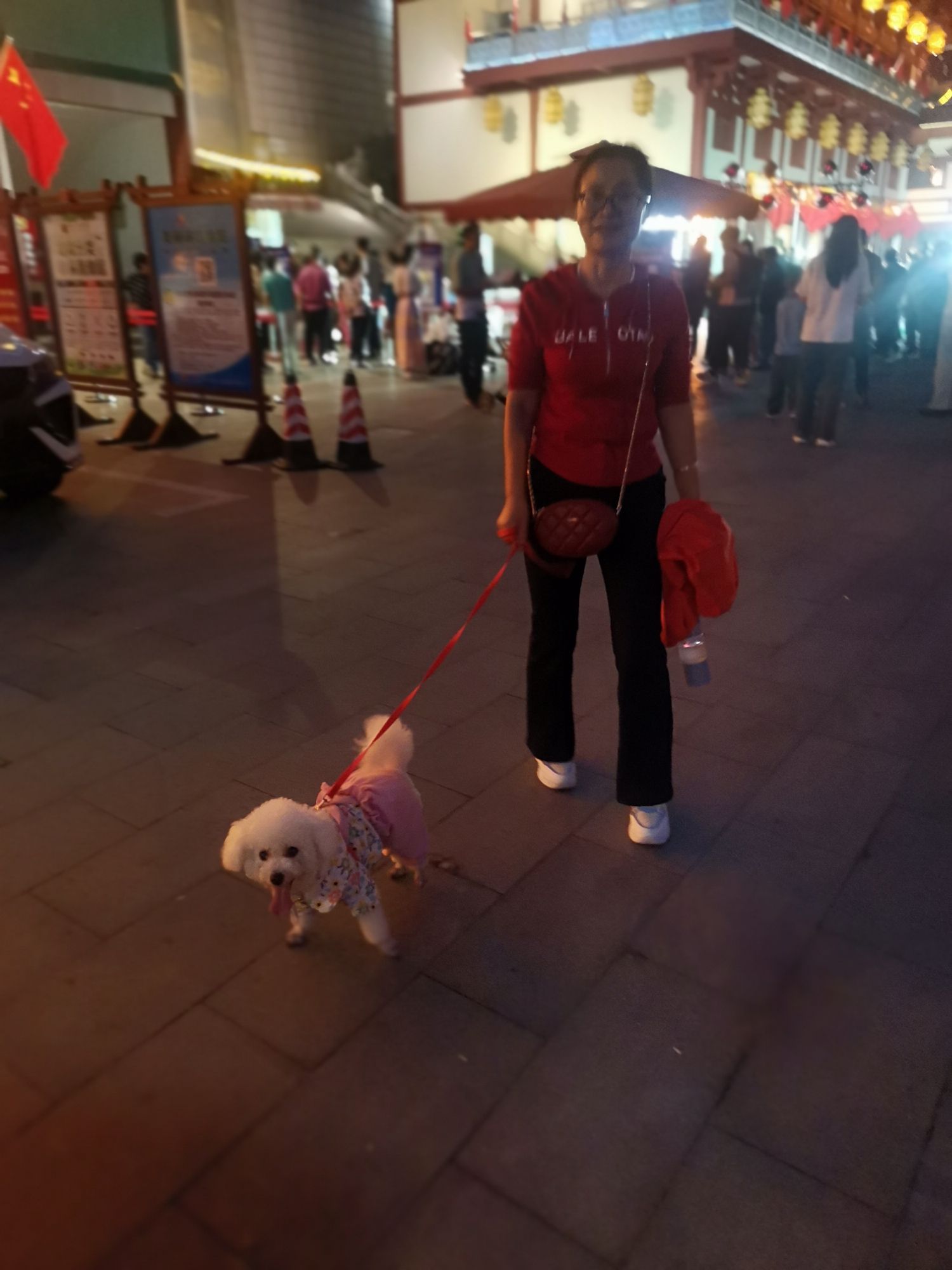 南湖体育公园旅行图片 3