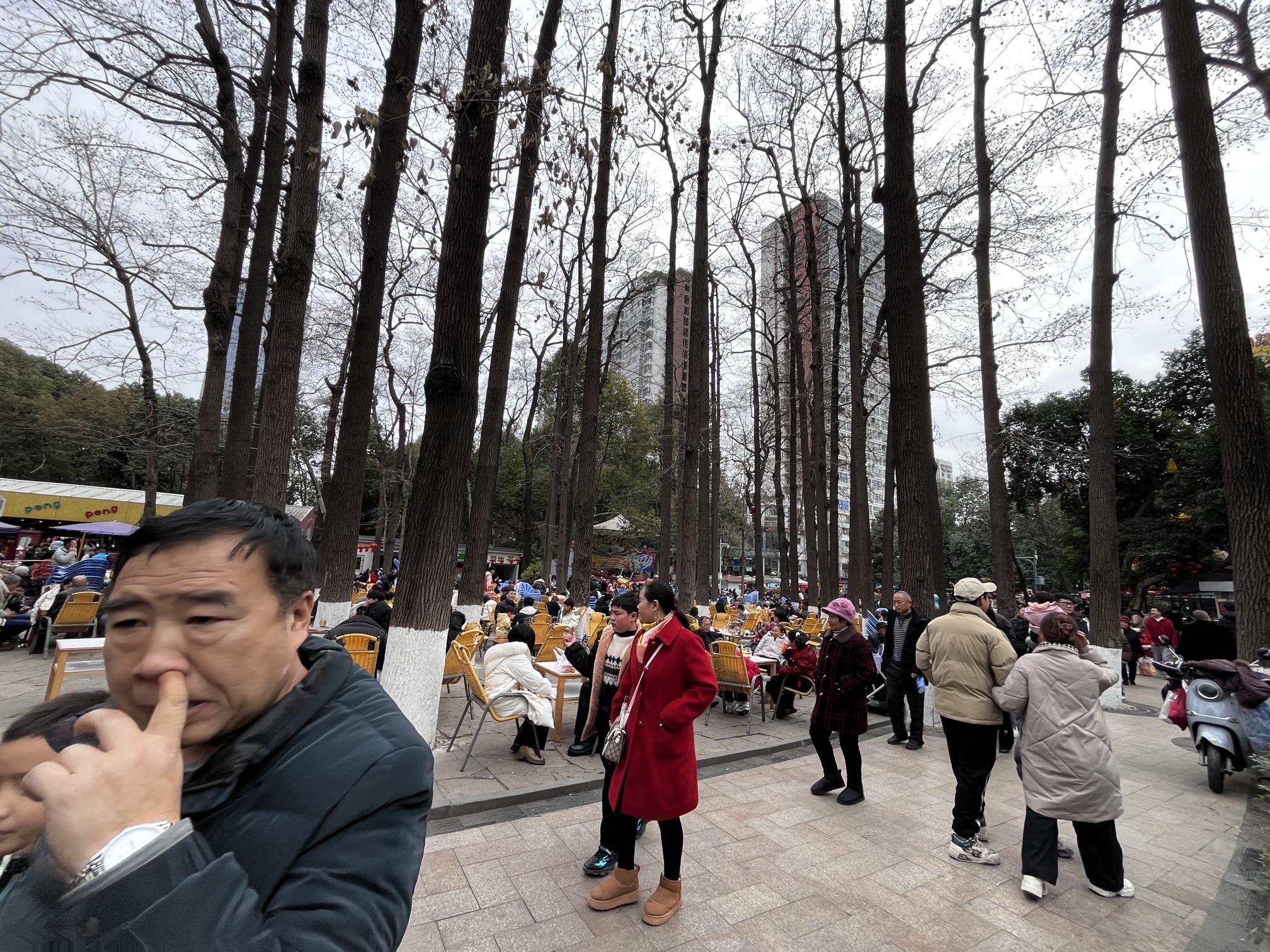 绵阳市人民公园旅行图片 3