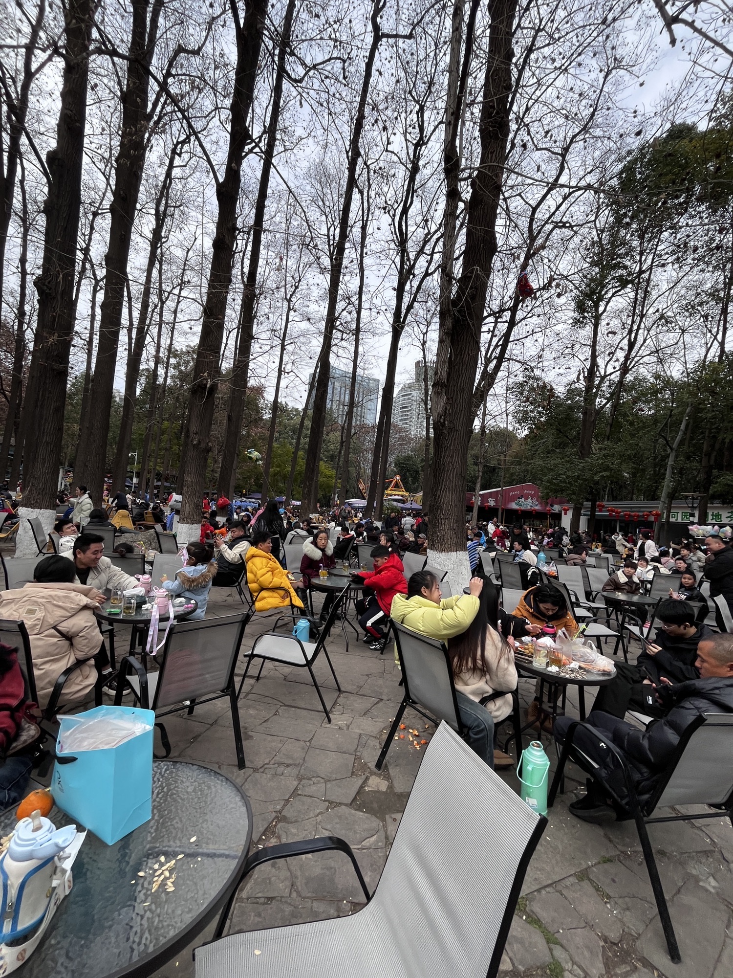 绵阳市人民公园旅行图片 2