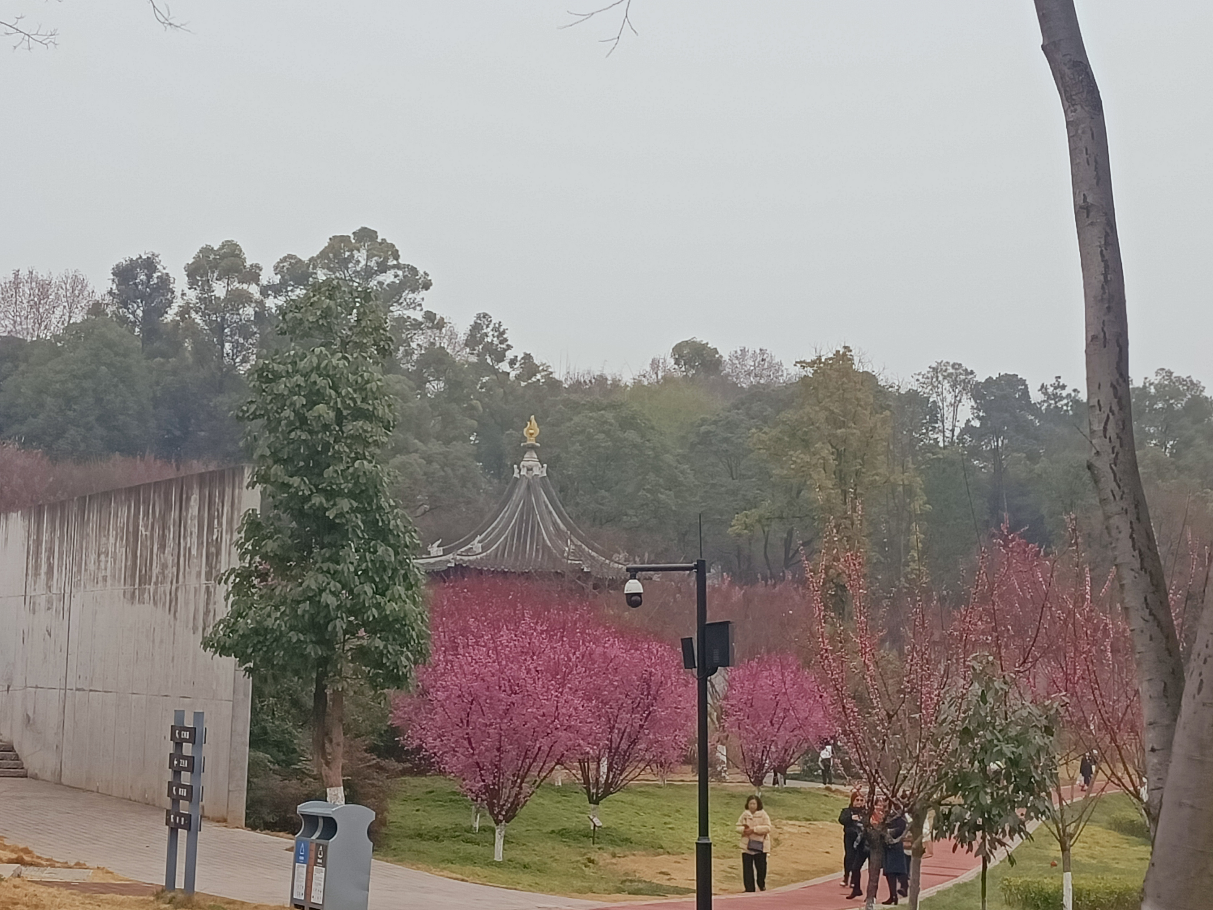 西山子云亭风景区旅行图片 1