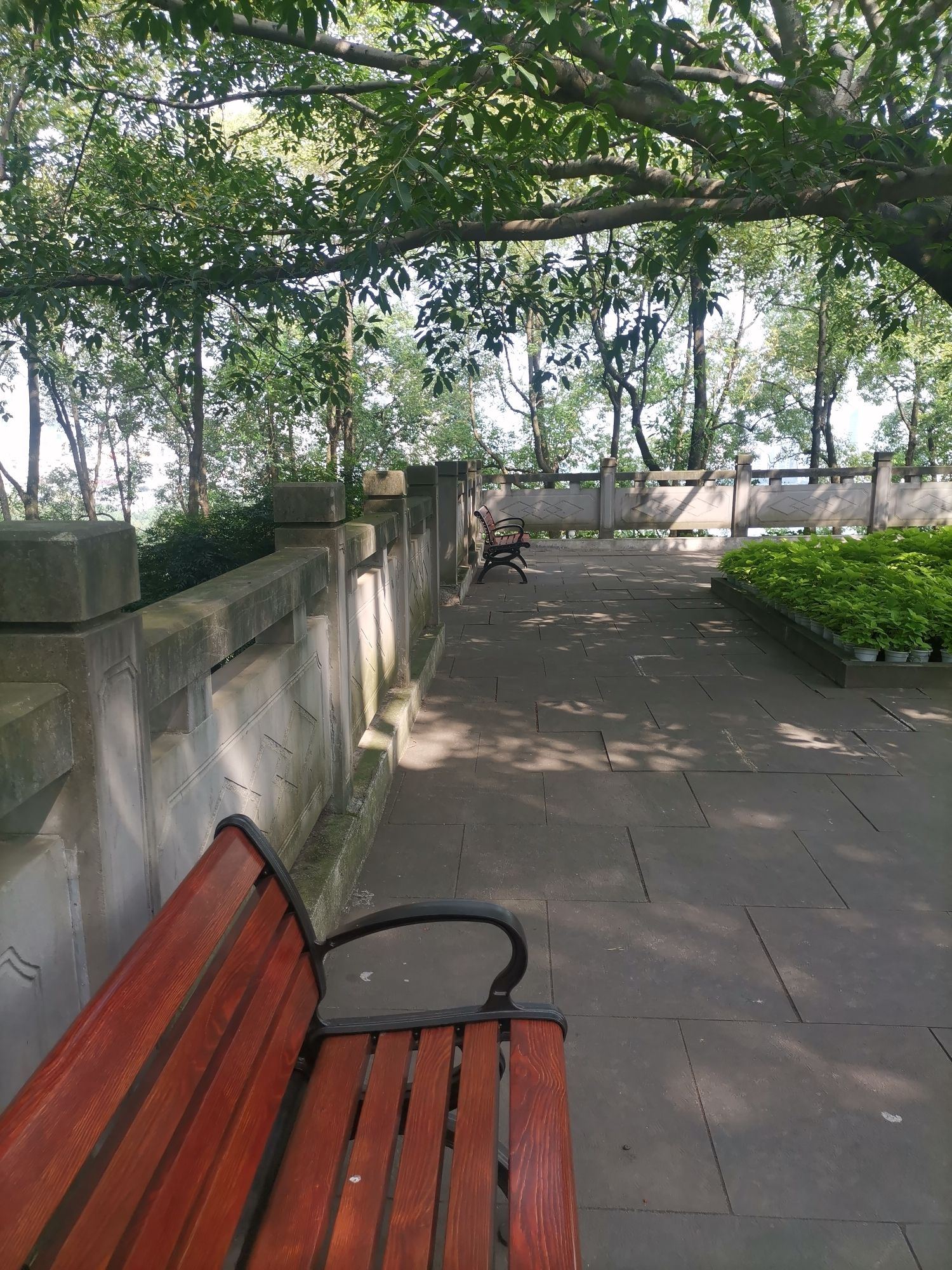 南山公园旅行图片 3