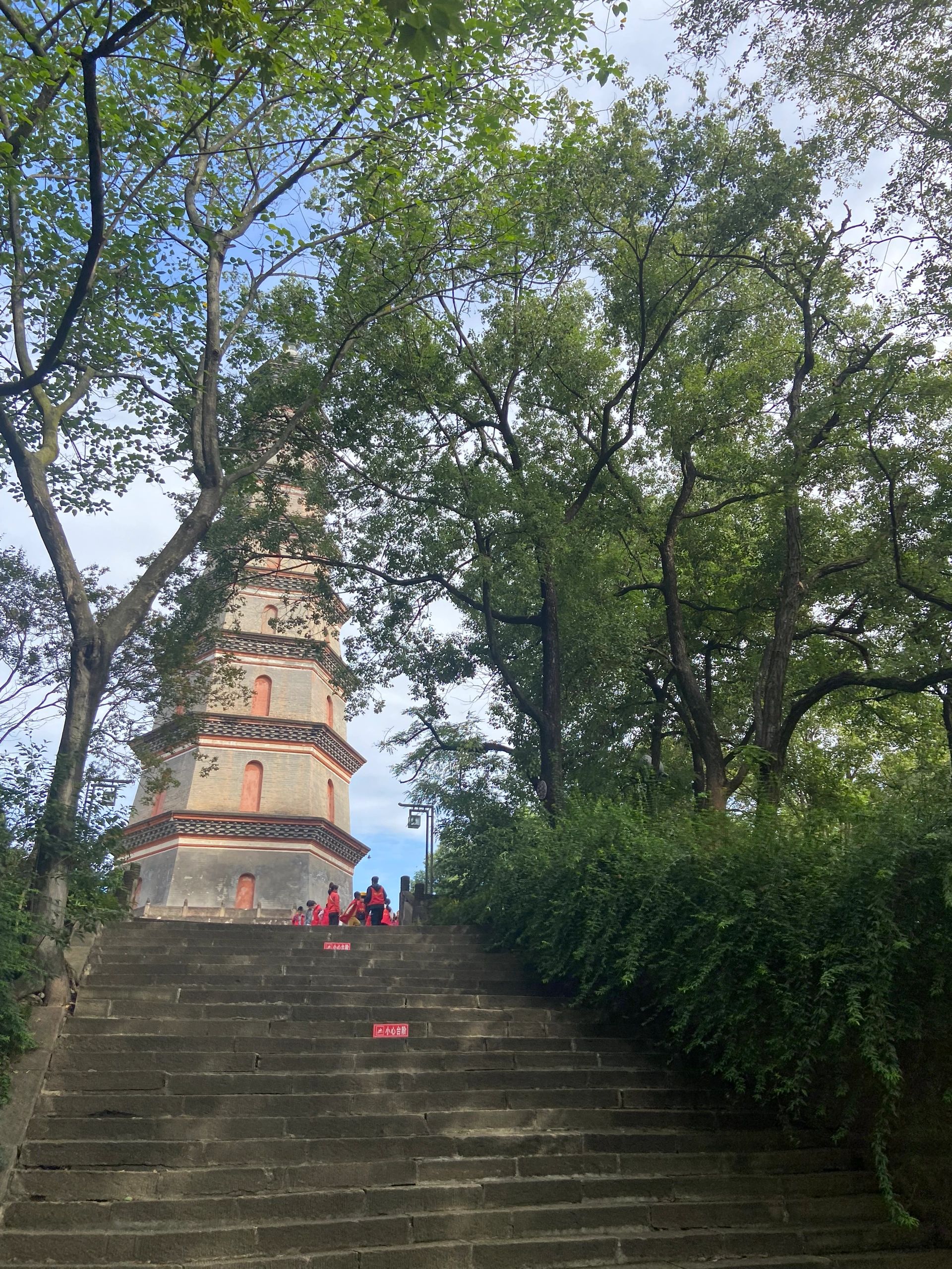 南山公园旅行图片 2