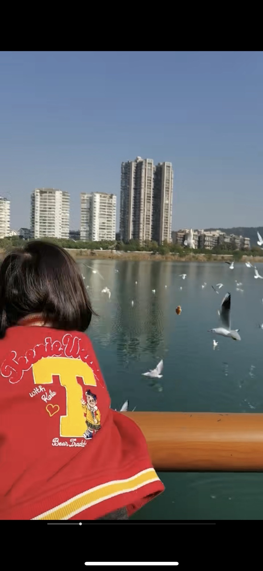 青年广场旅行图片 1