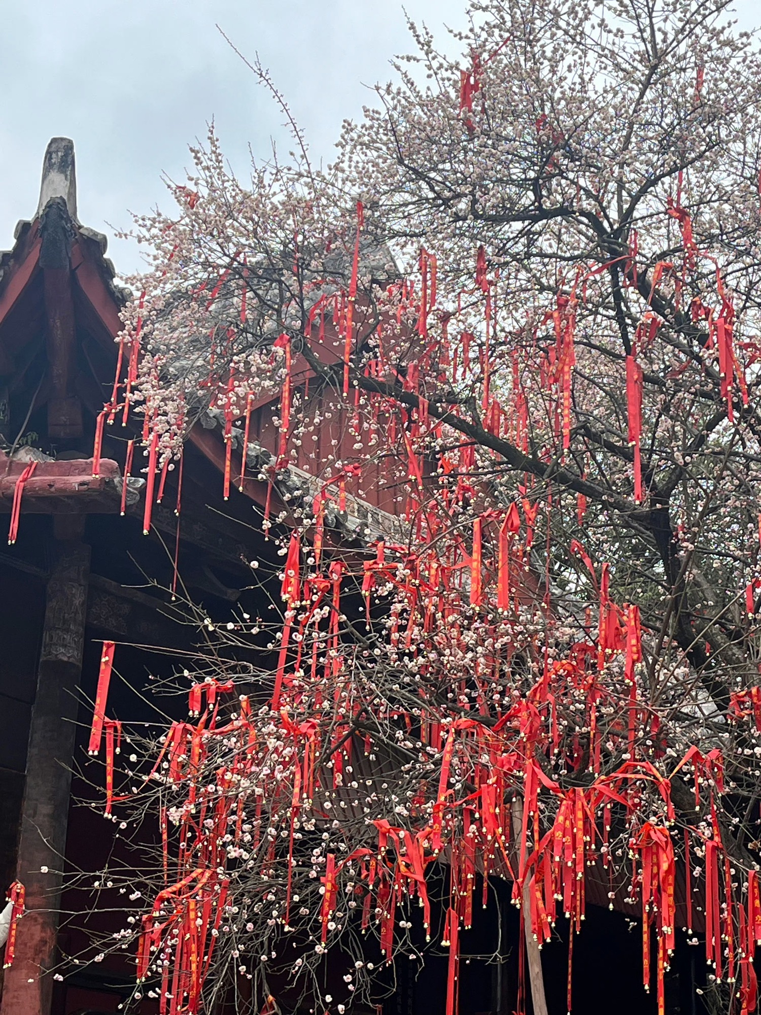 七曲山风景区旅行图片 3