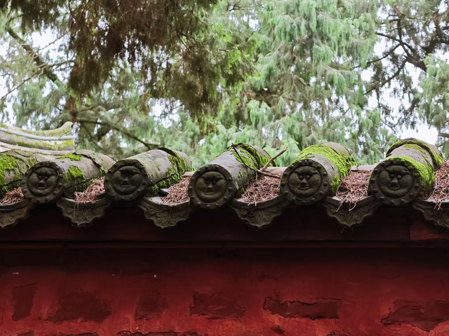 七曲山风景区旅行图片 3
