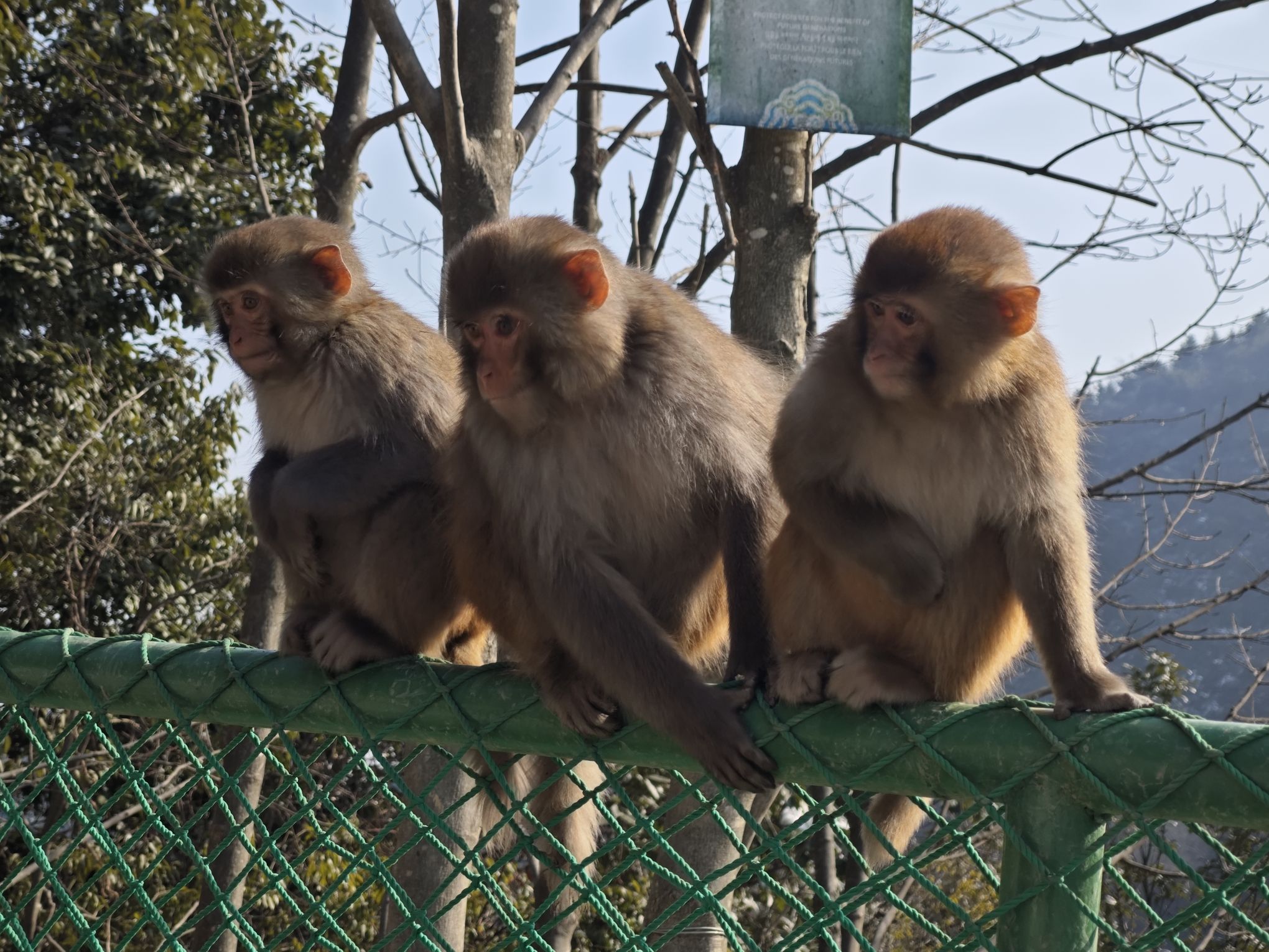 九皇山旅行图片 2