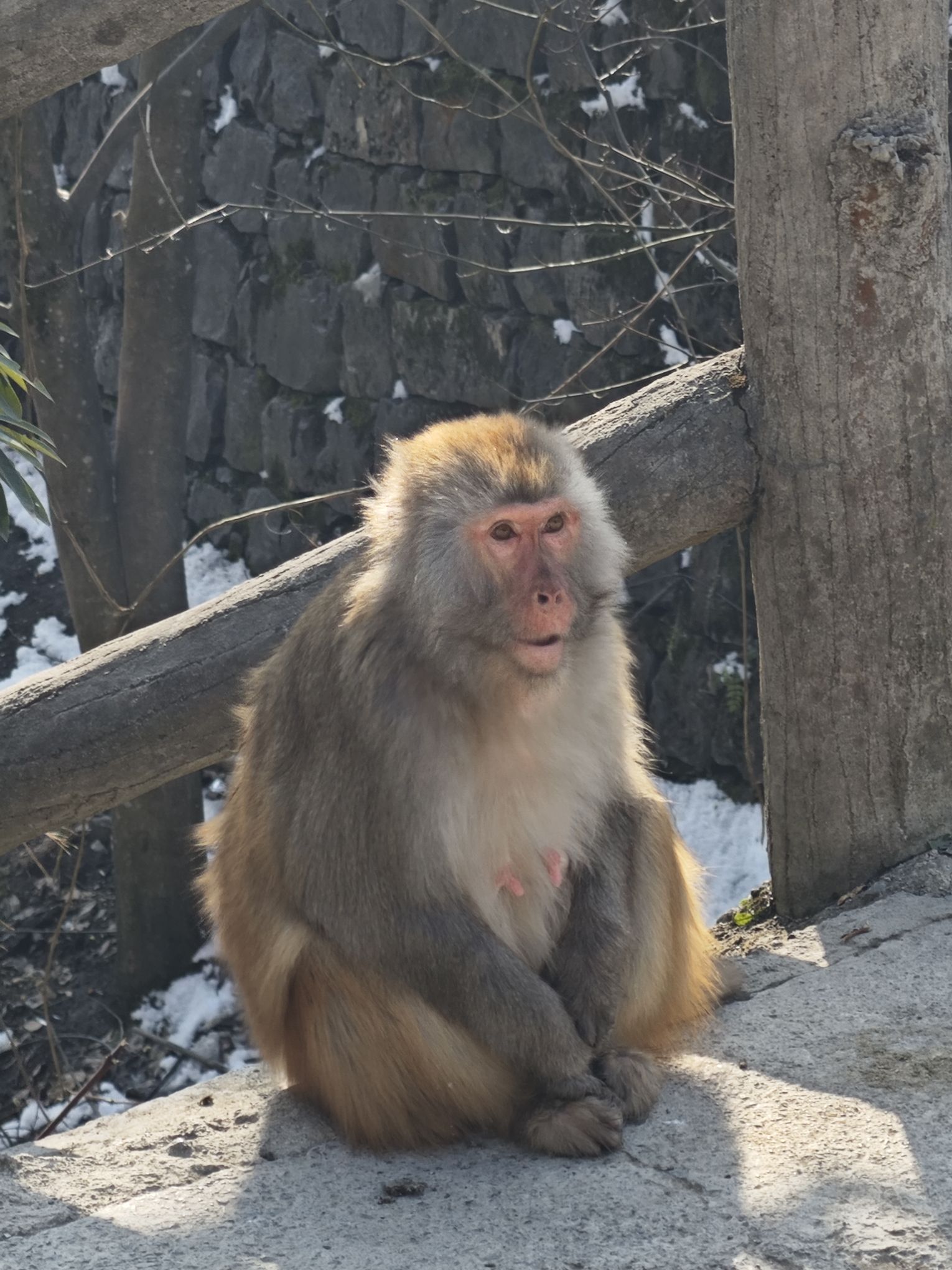 九皇山旅行图片 1