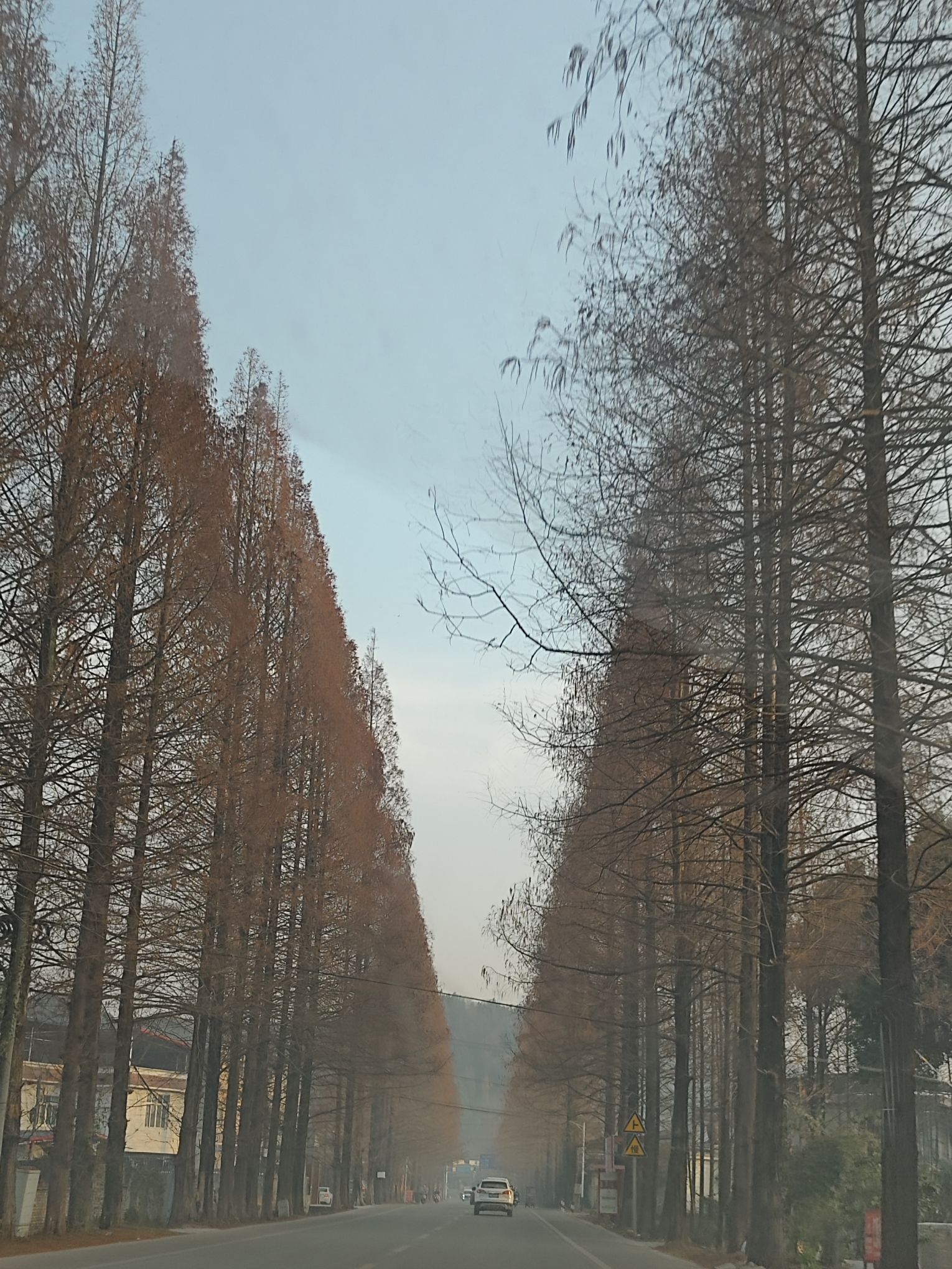 九皇山旅行图片 3