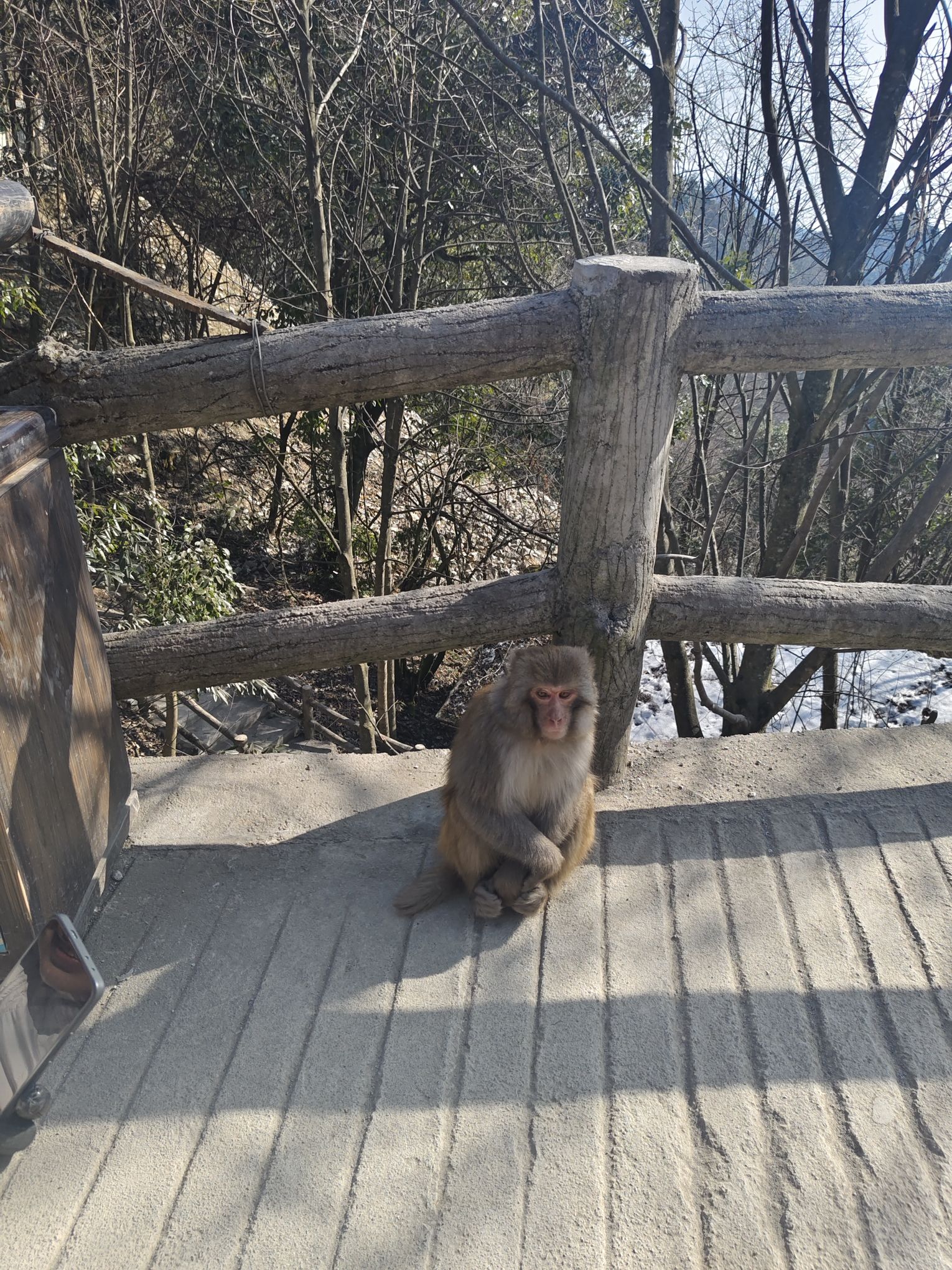 九皇山旅行图片 1