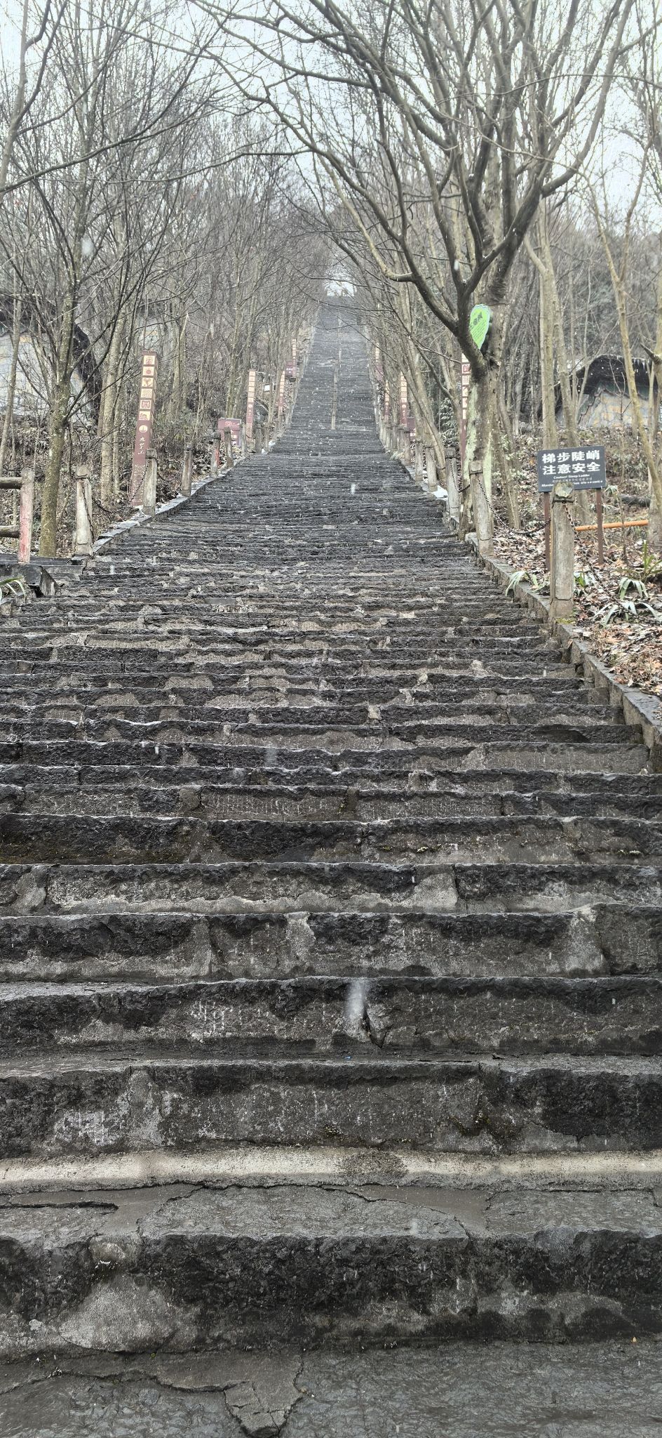 九皇山旅行图片 1