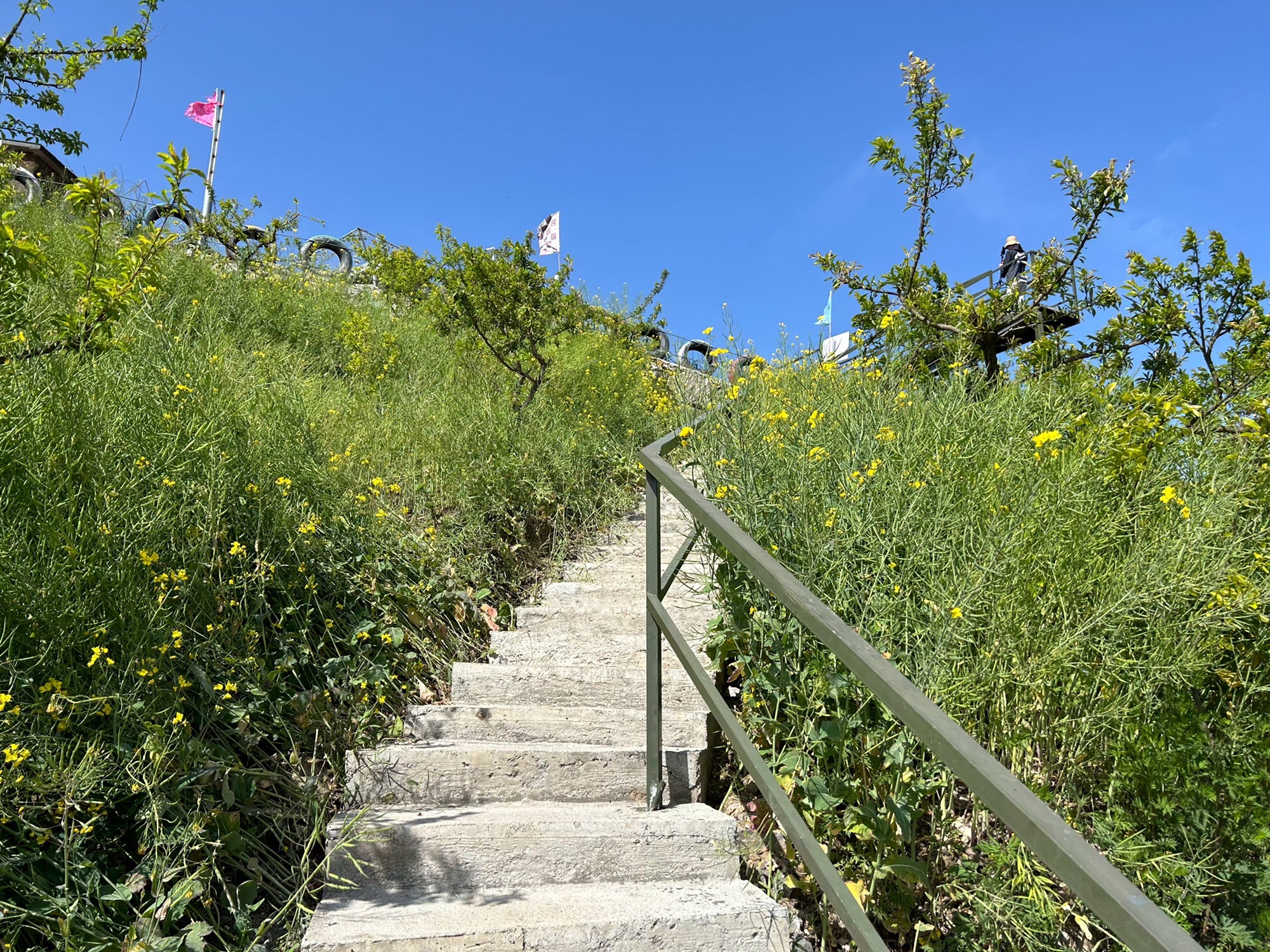 药王谷旅行图片 3