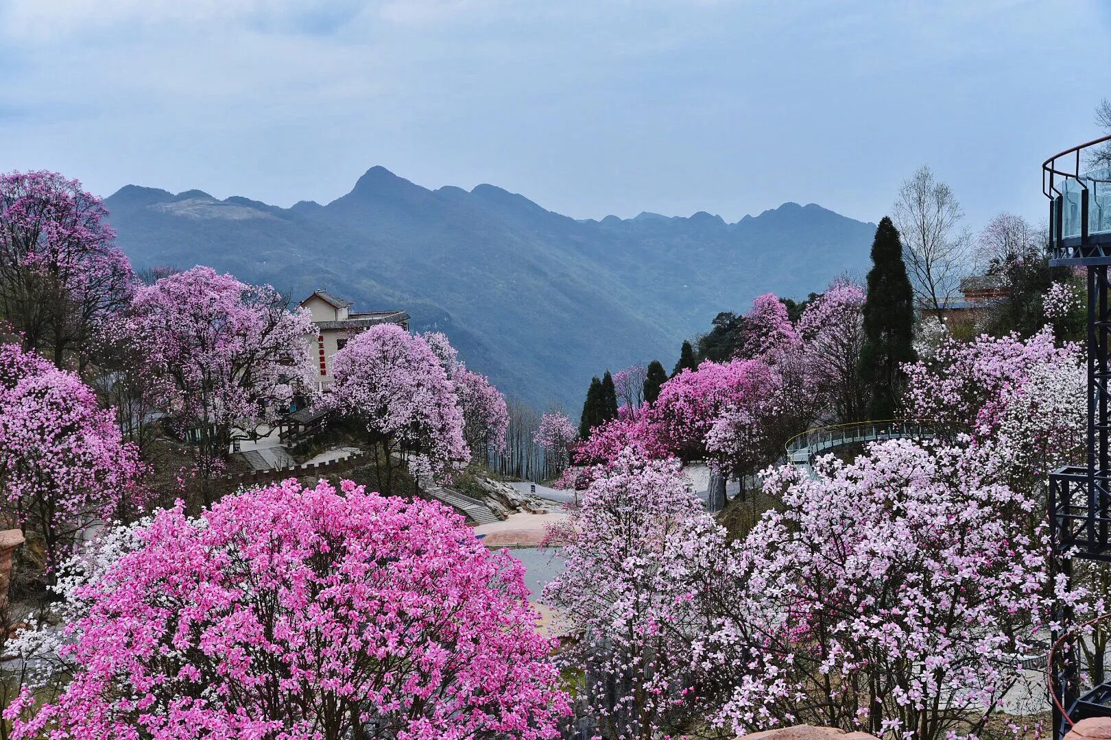 药王谷旅行图片 1