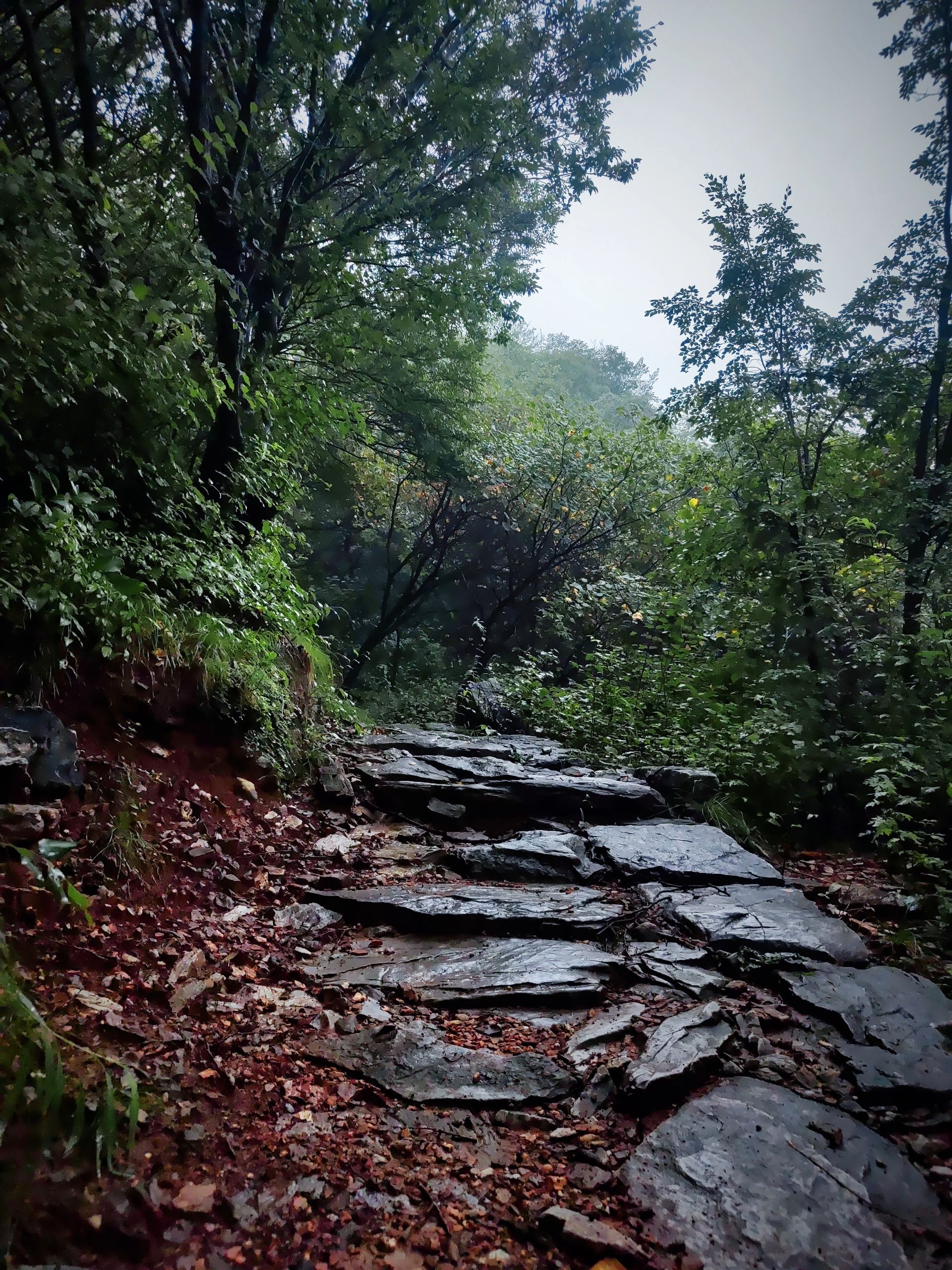 药王谷旅行图片 2
