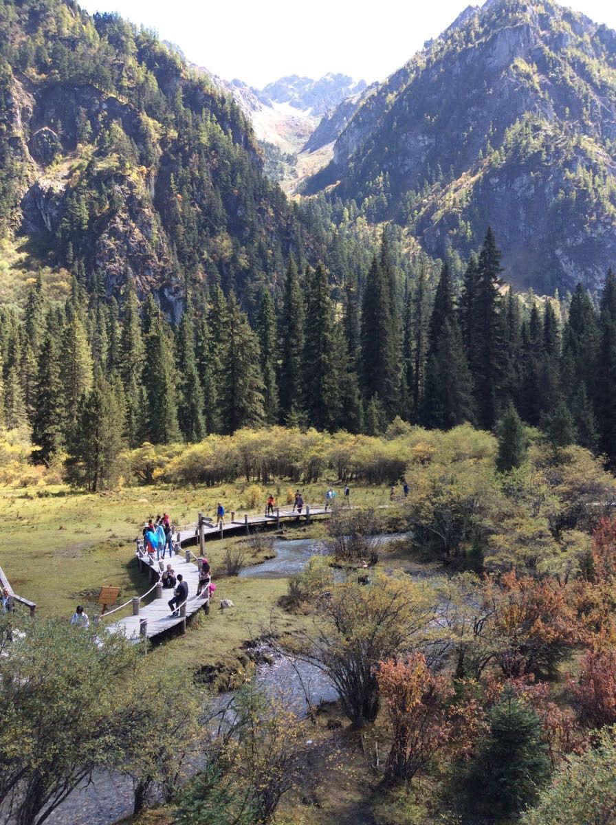 四川王朗国家级自然保护区旅行图片 3
