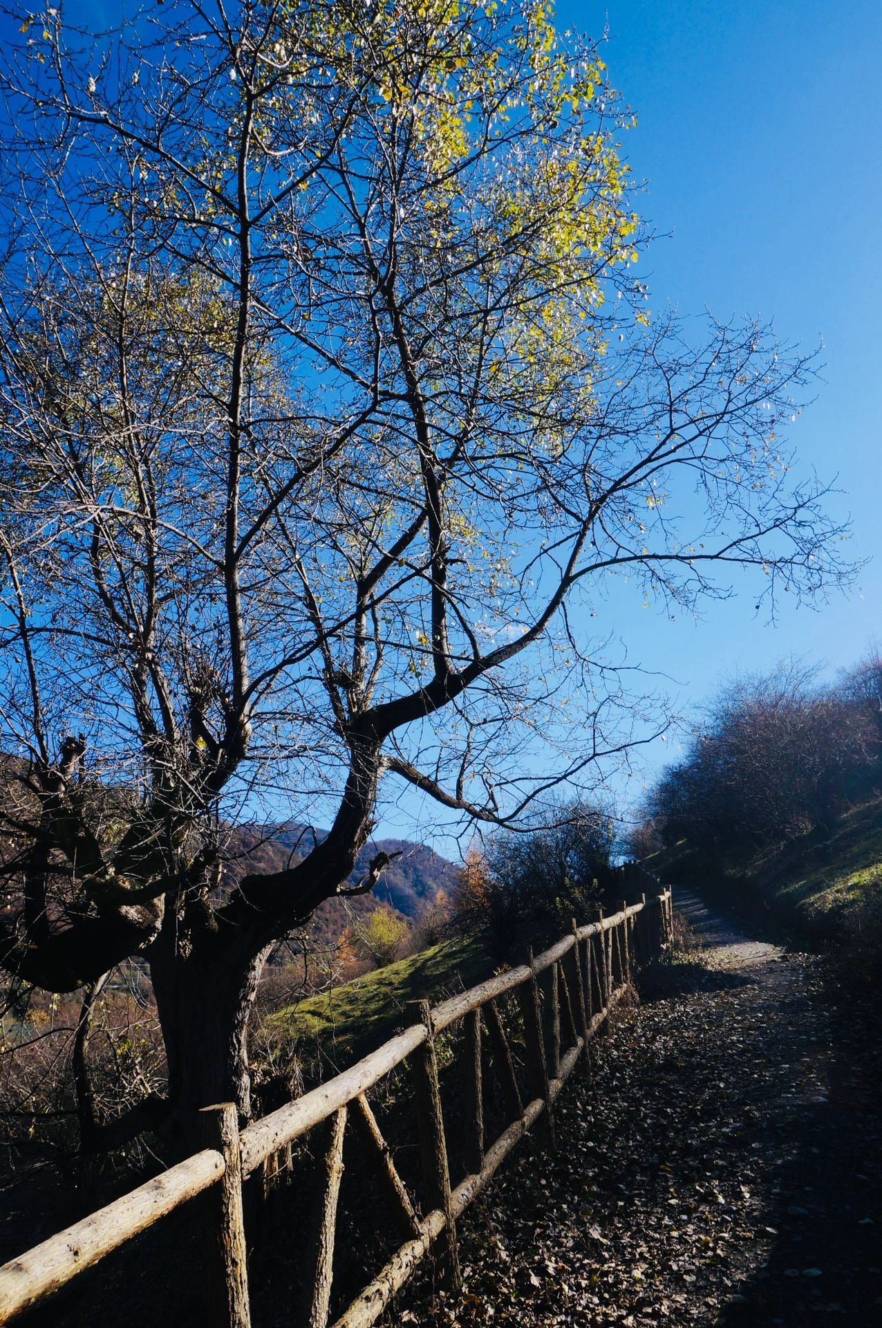 白马寨旅行图片 2