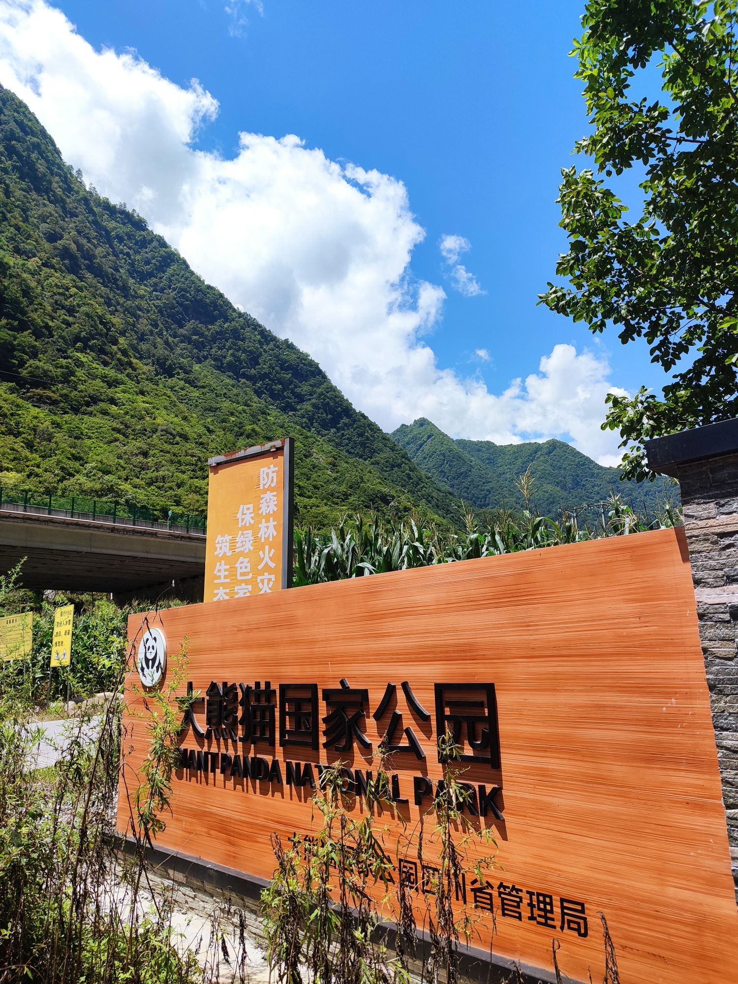 白马寨旅行图片 3