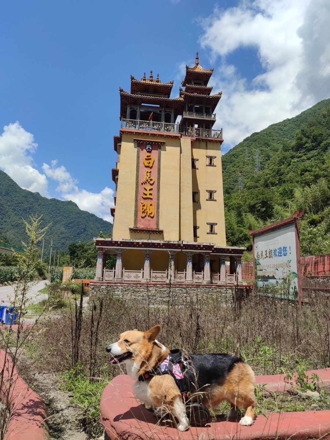 白马寨旅行图片 2