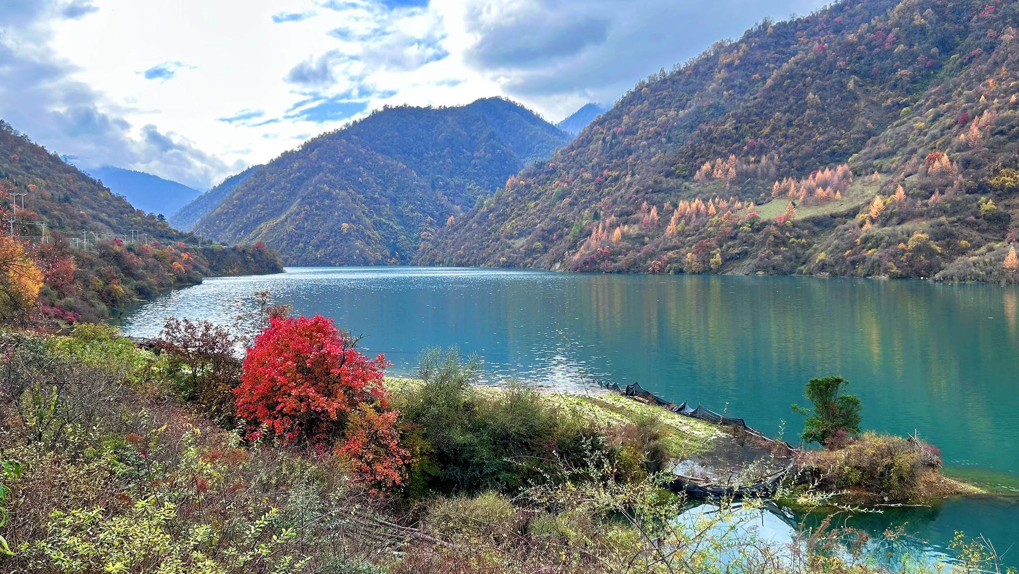 白马寨旅行图片 1