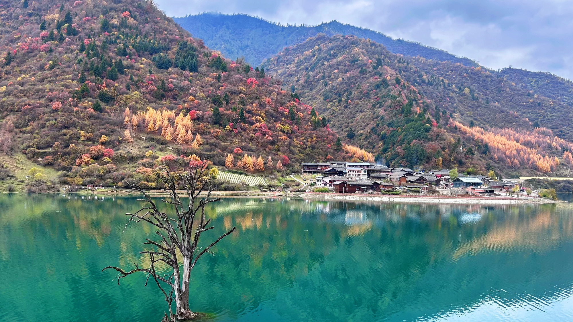 白马寨旅行图片 2