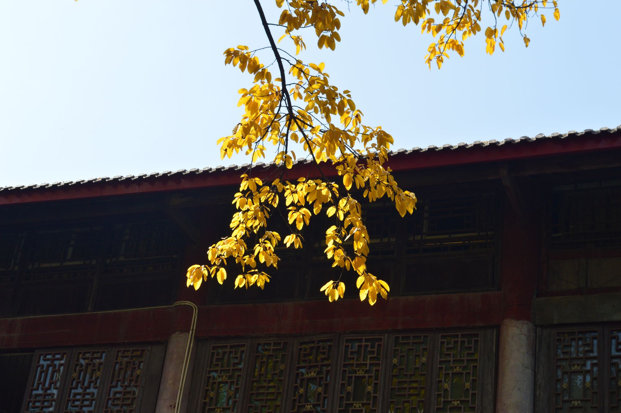 太白公园旅行图片 1