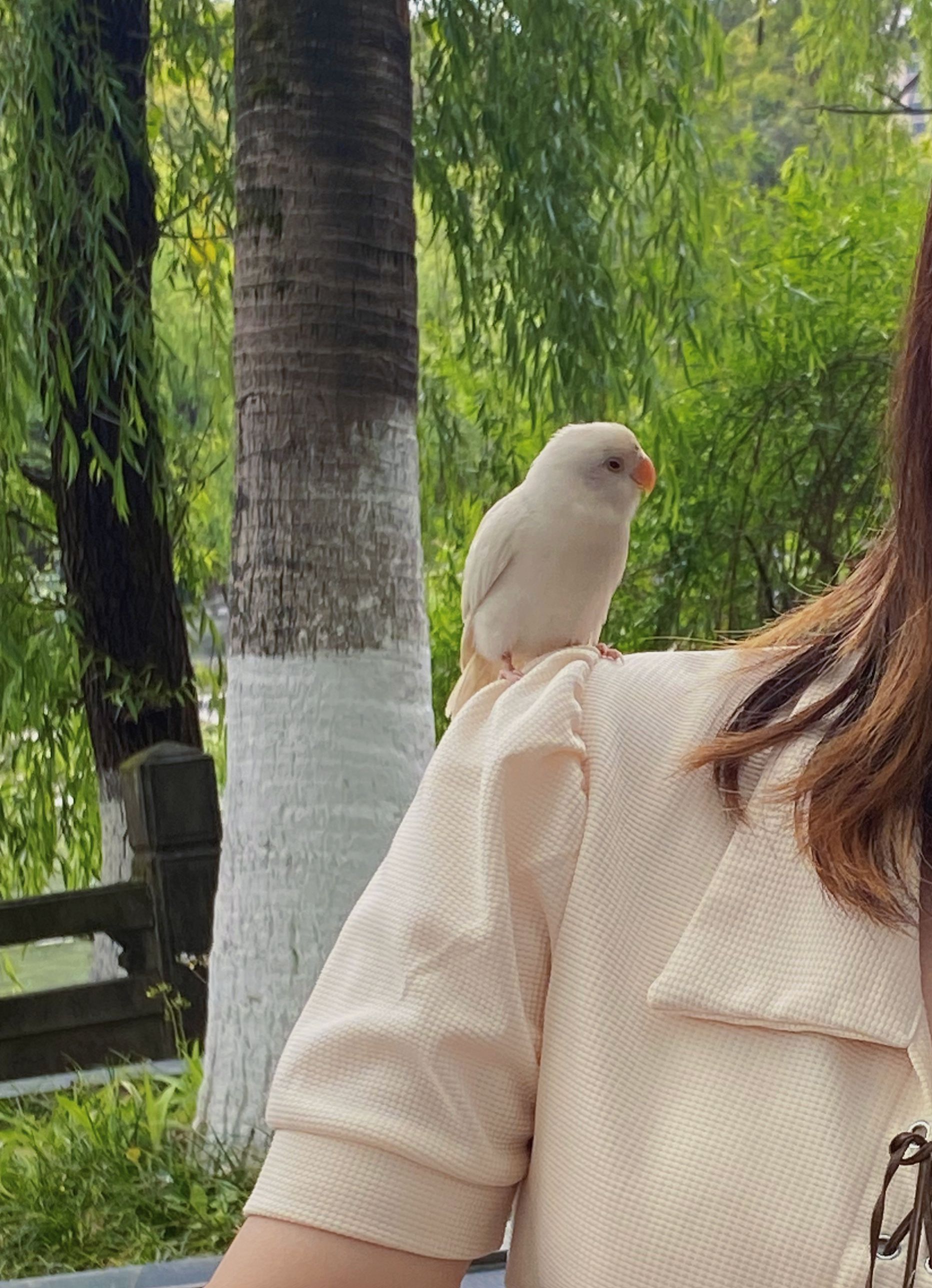 太白公园旅行图片 3