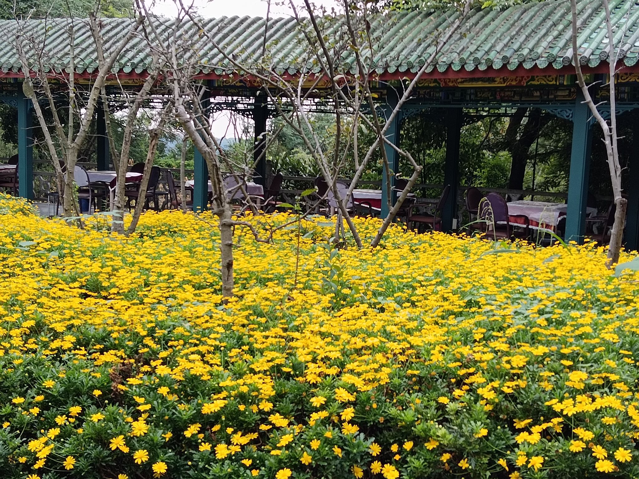 绵阳市富乐山公园旅行图片 3
